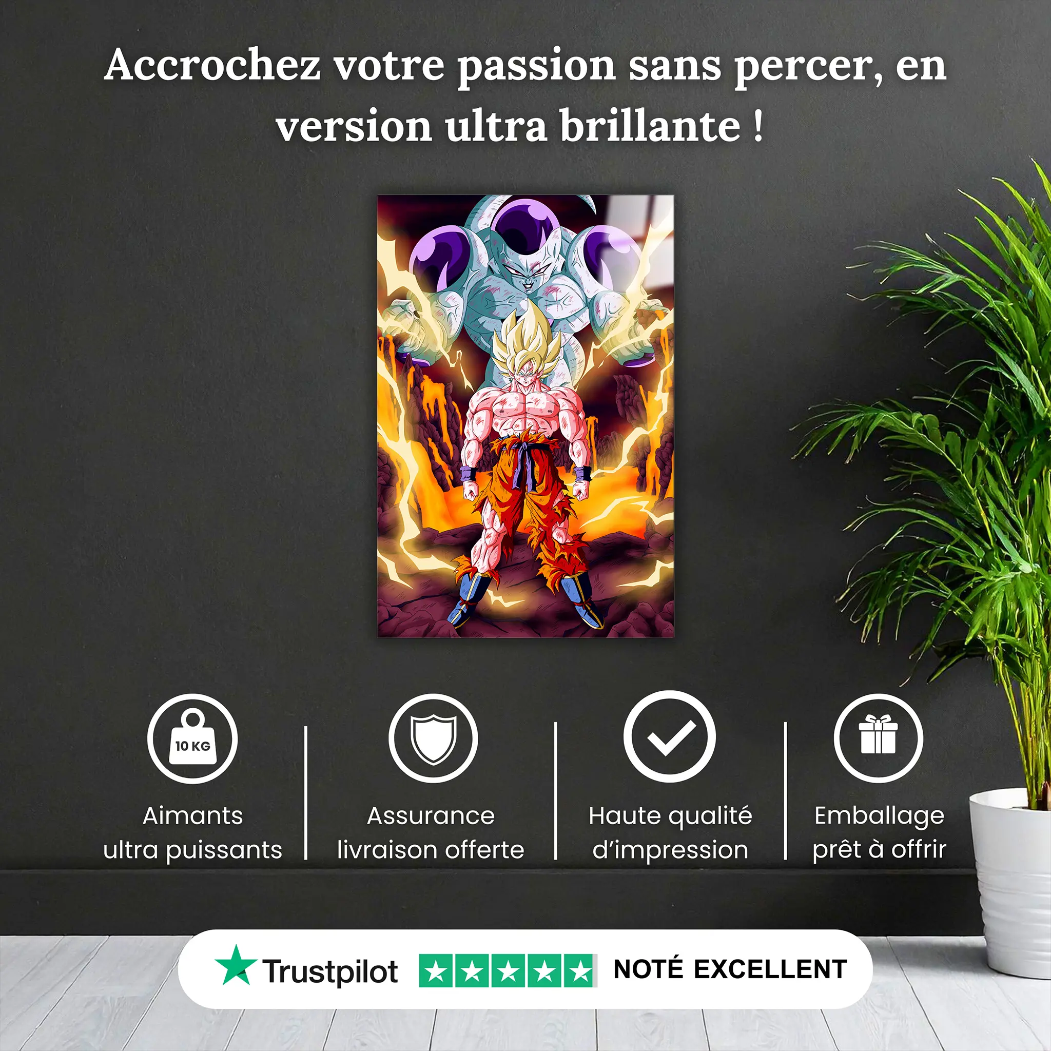 tableau-dbz-goku-ssj-vs-freezer-pourquoi-acheter | DreamWay