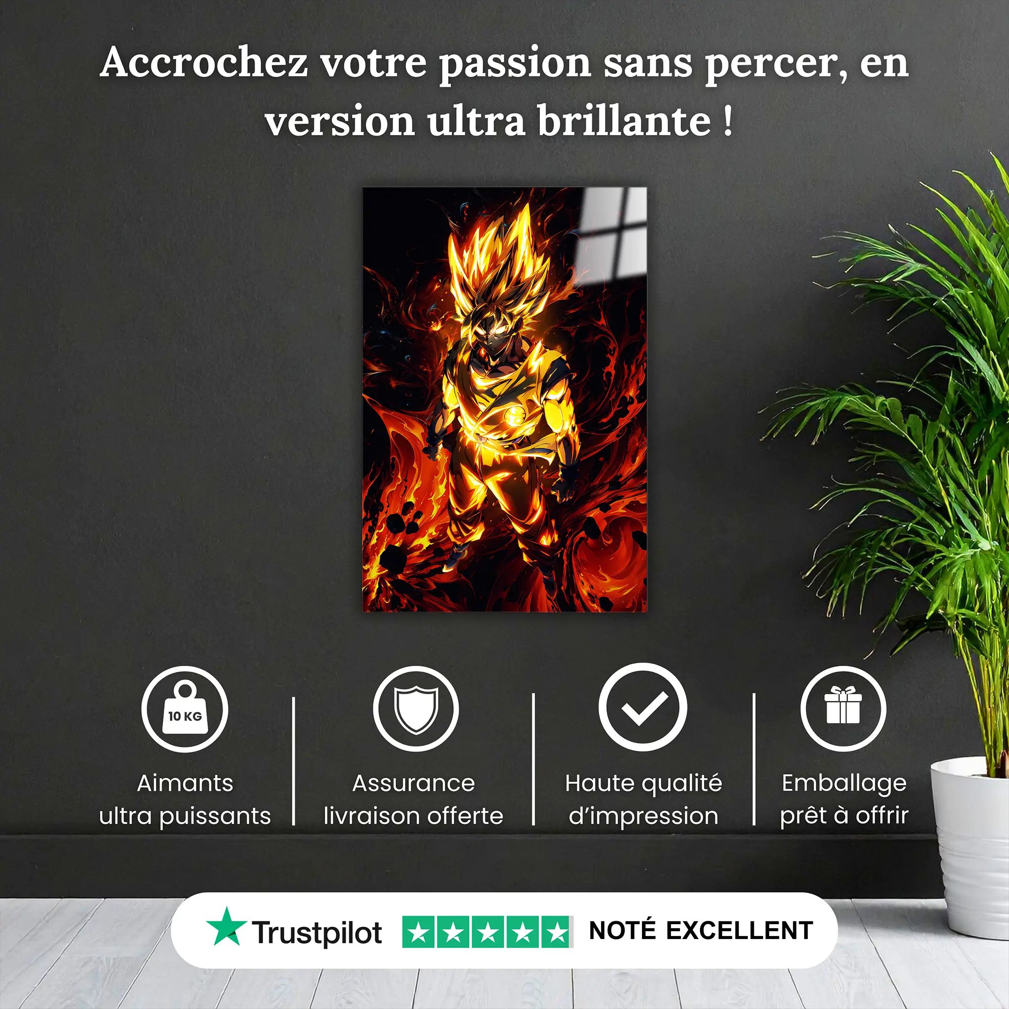tableau-dbz-goku-super-saiyan-pourquoi-acheter | DreamWay