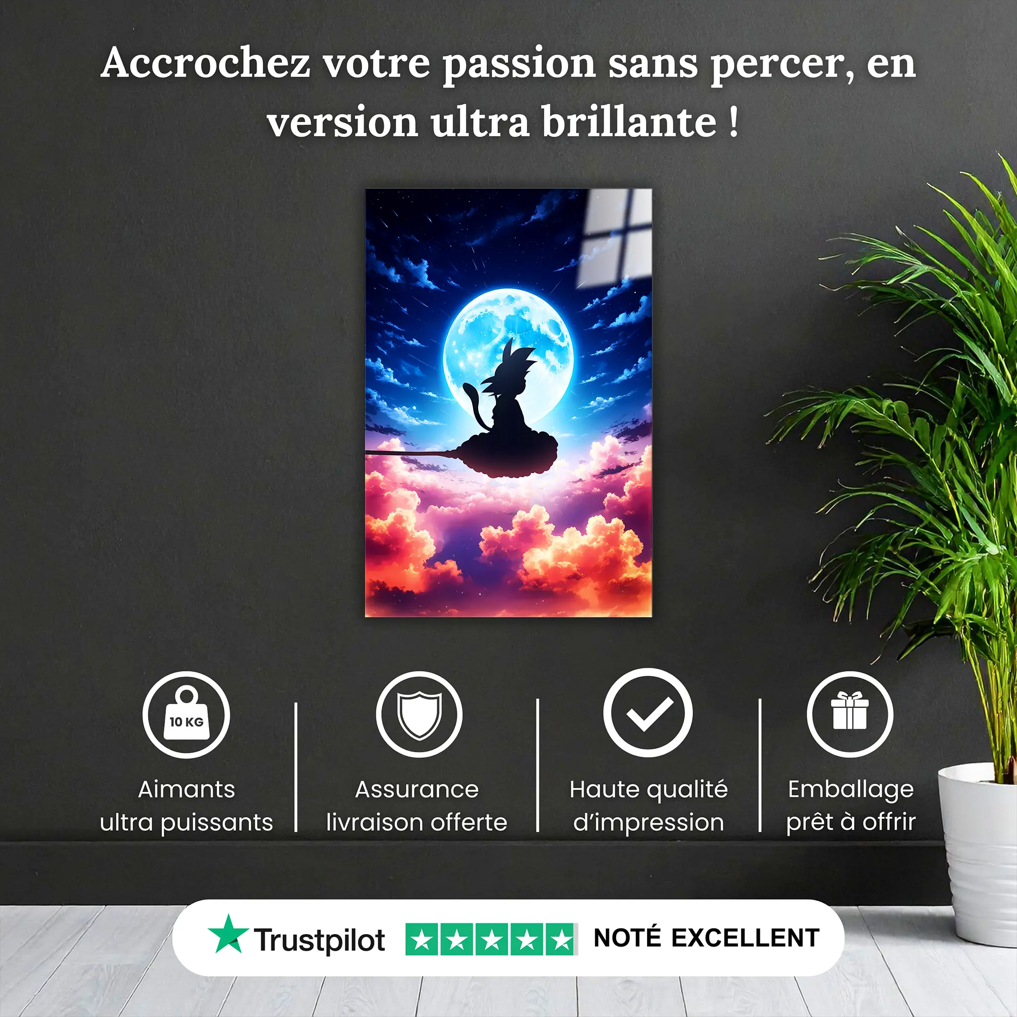 tableau-dbz-goku-volant-dans-le-ciel-pourquoi-acheter | DreamWay