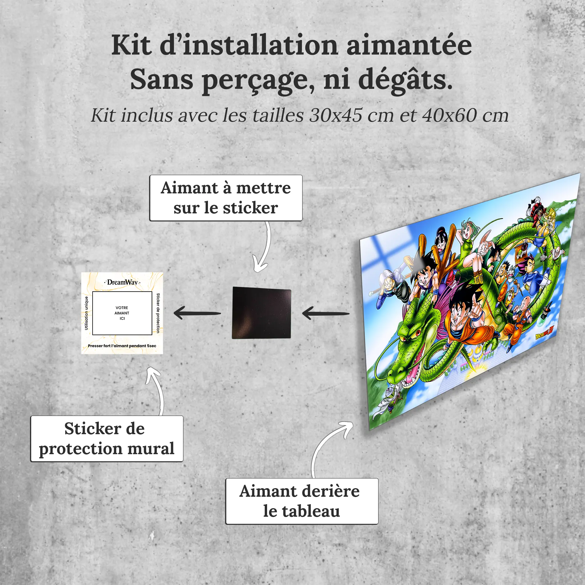 tableau-dbz-heros-paysage-avec-installation-aimantee | DreamWay