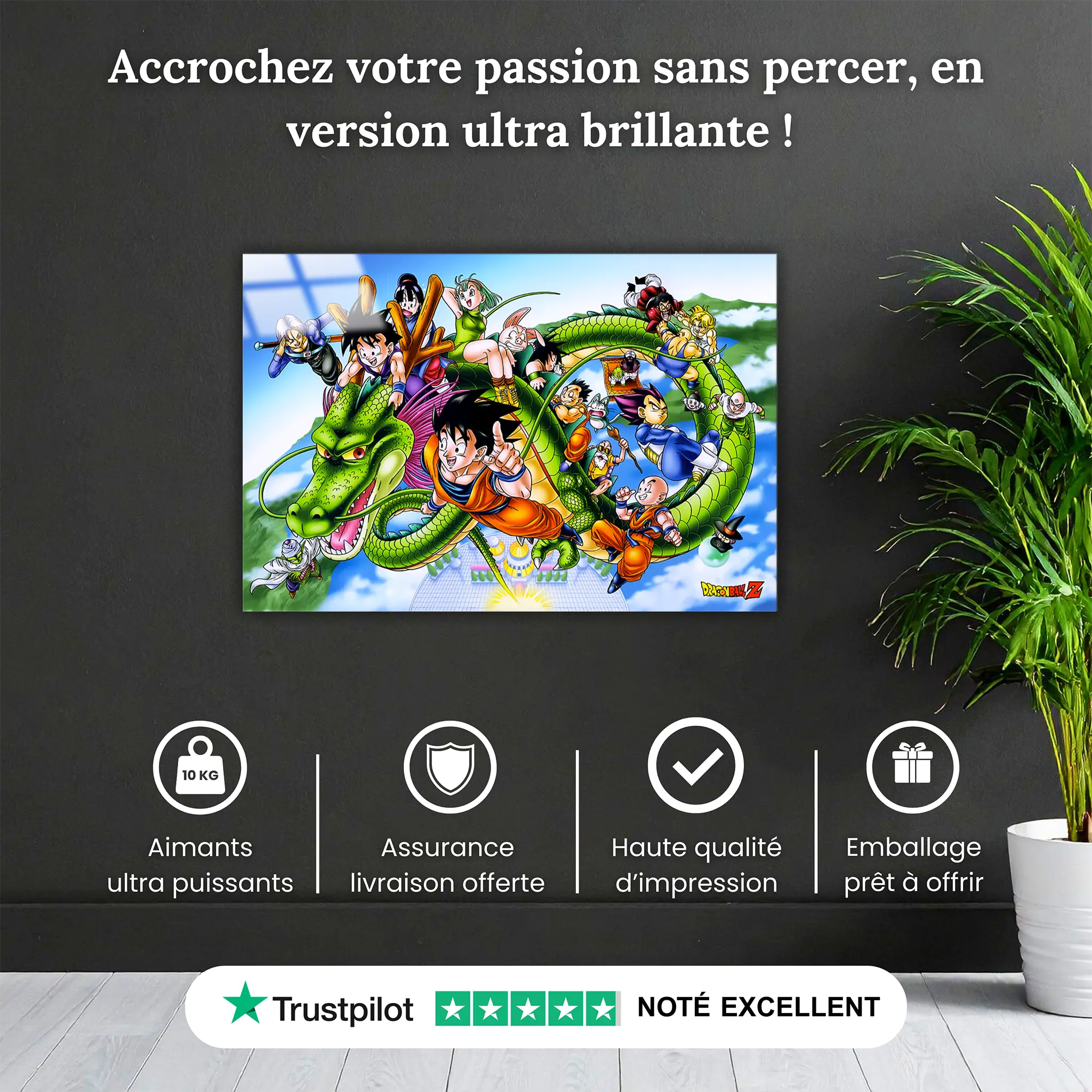 tableau-dbz-heros-paysage-pourquoi-acheter | DreamWay