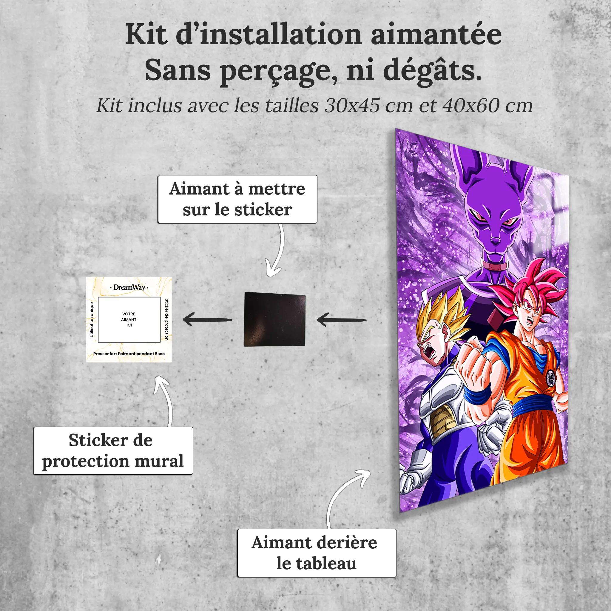 tableau-dbz-la-bataille-des-dieux-avec-installation-aimantee | DreamWay