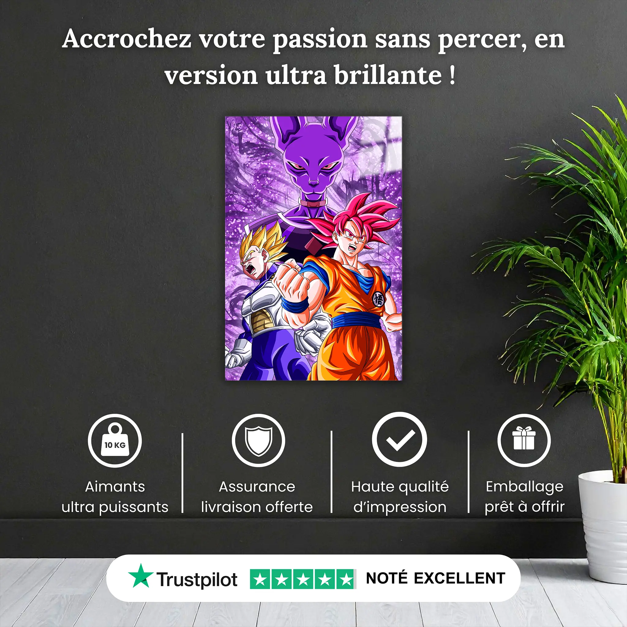 tableau-dbz-la-bataille-des-dieux-pourquoi-acheter | DreamWay