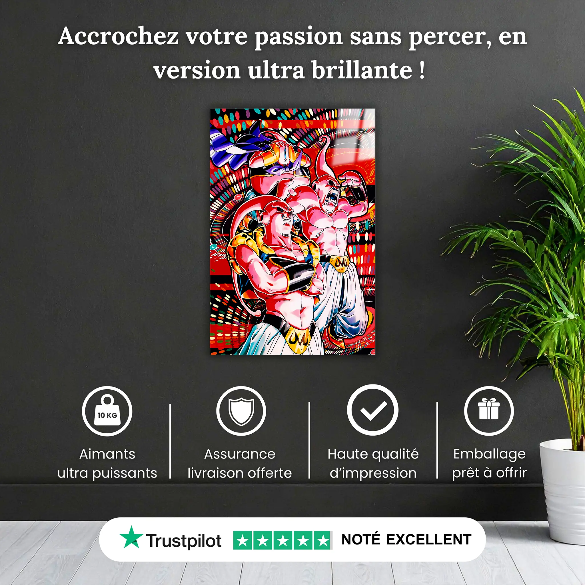 tableau-dbz-majin-boo-transformation-pourquoi-acheter | DreamWay