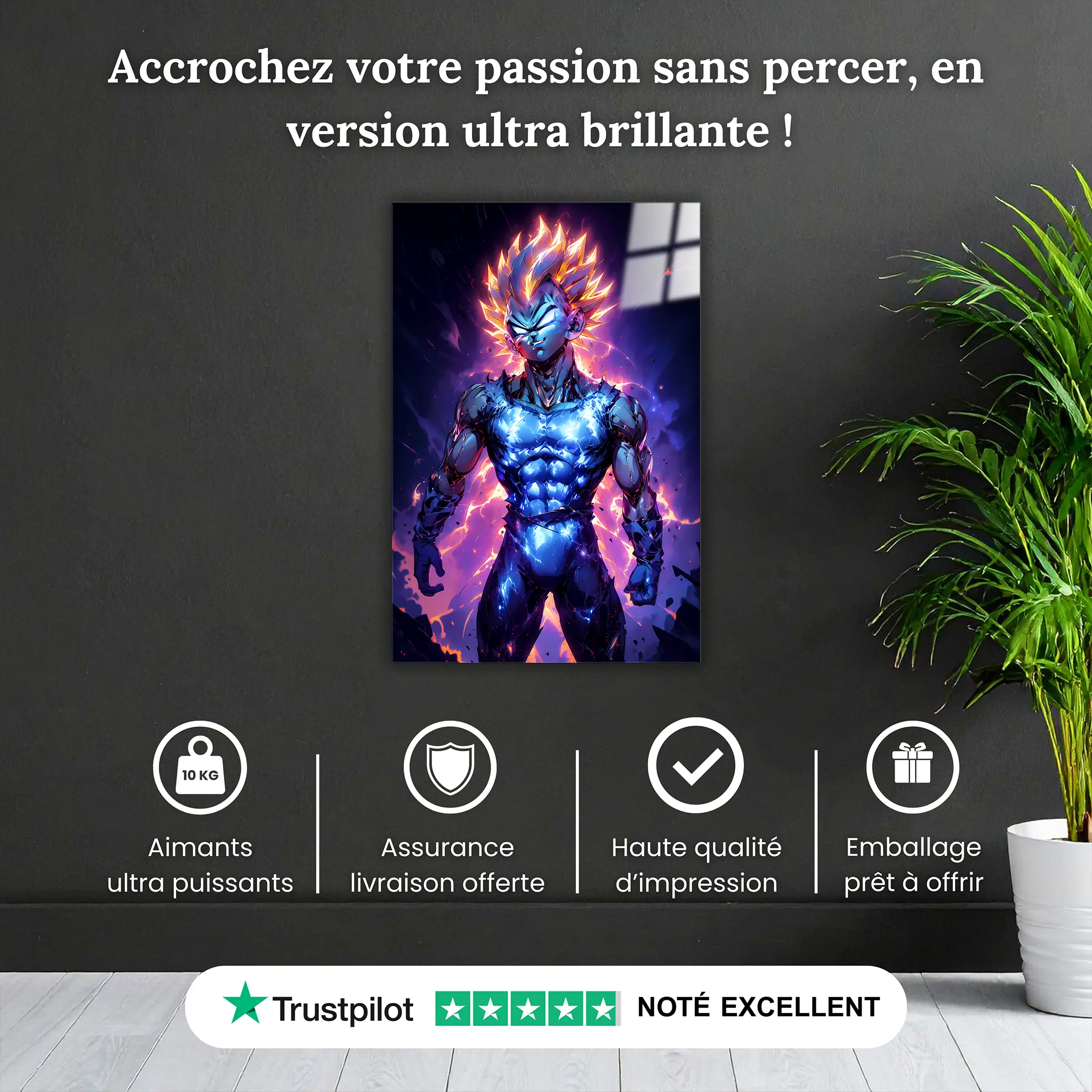 tableau-dbz-majin-vegeta-sourire-narquois-pourquoi-acheter | DreamWay