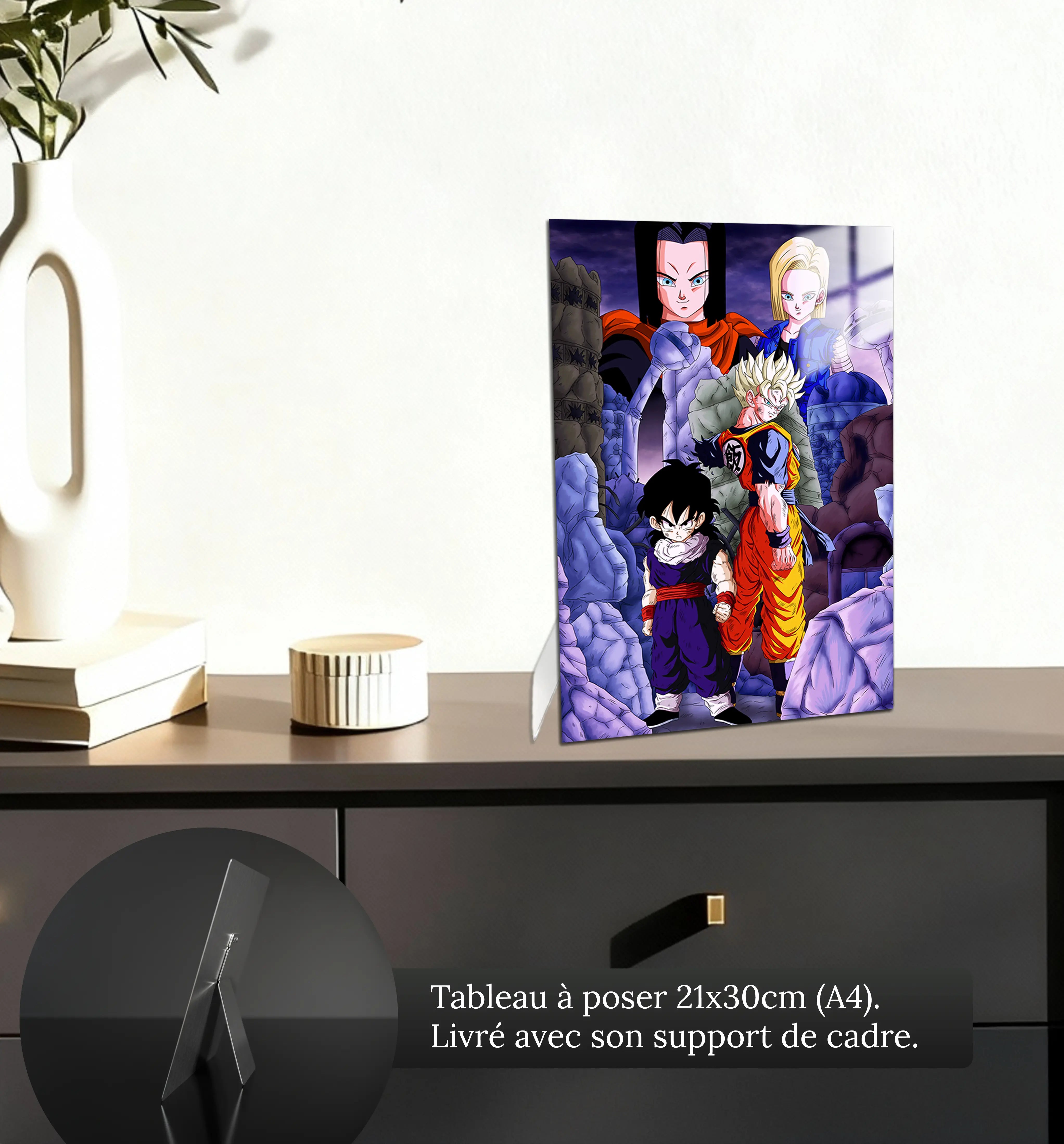 tableau-dbz-mirai-et-gohan-vs-android-petit-format-a-poser-sur-meuble | DreamWay