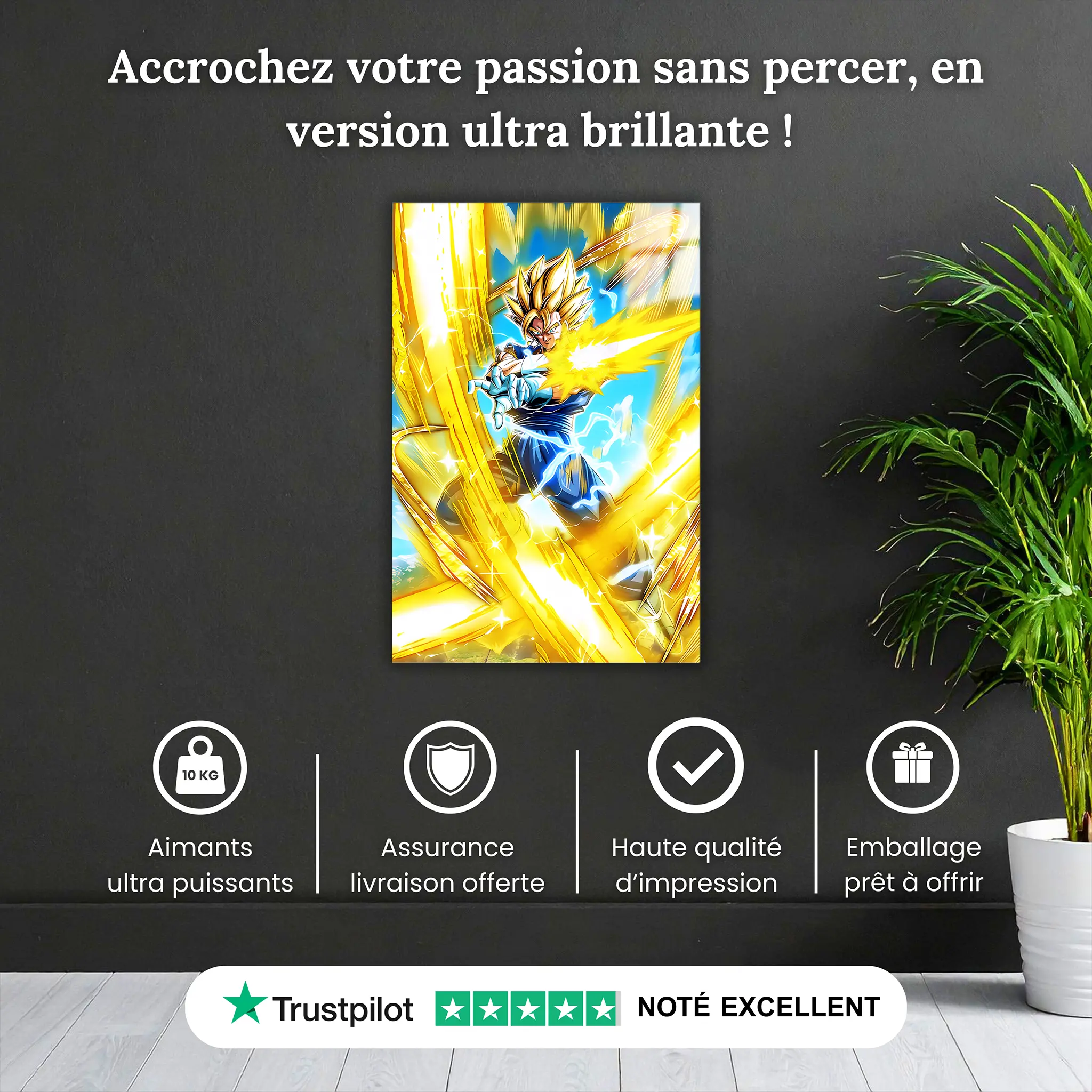Tableau DBZ Super Saiyan Vegetto