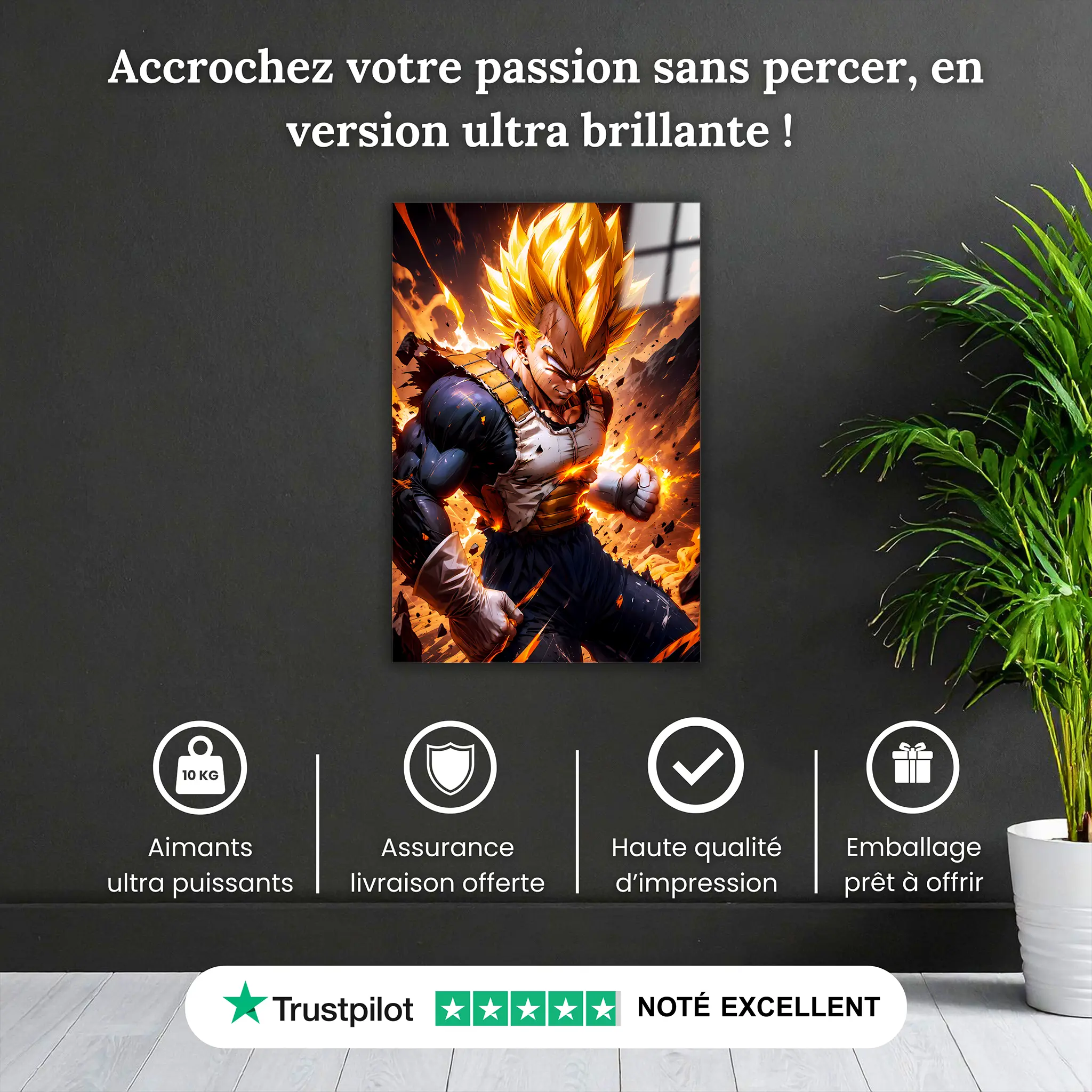 tableau-dbz-super-vegeta-rage-pourquoi-acheter | DreamWay