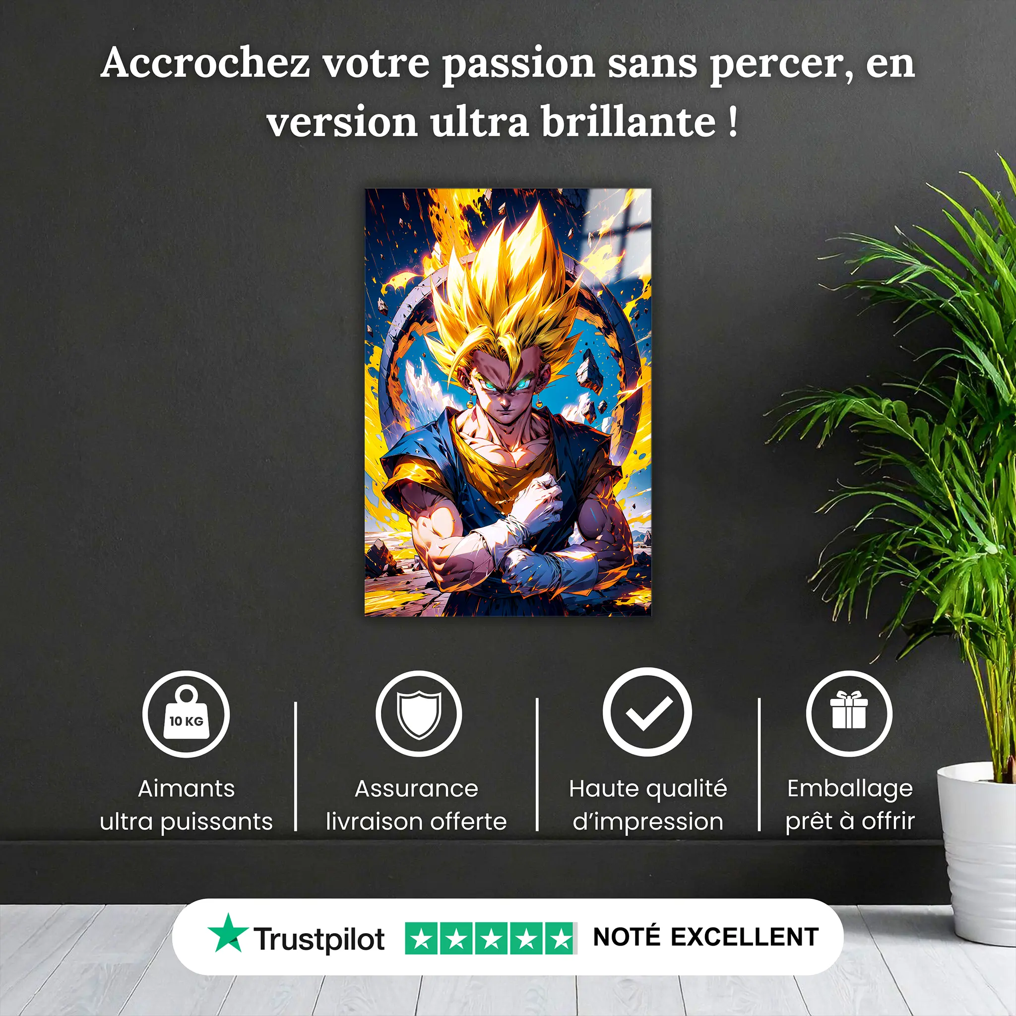 tableau-dbz-super-vegetto-fusion-pourquoi-acheter | DreamWay