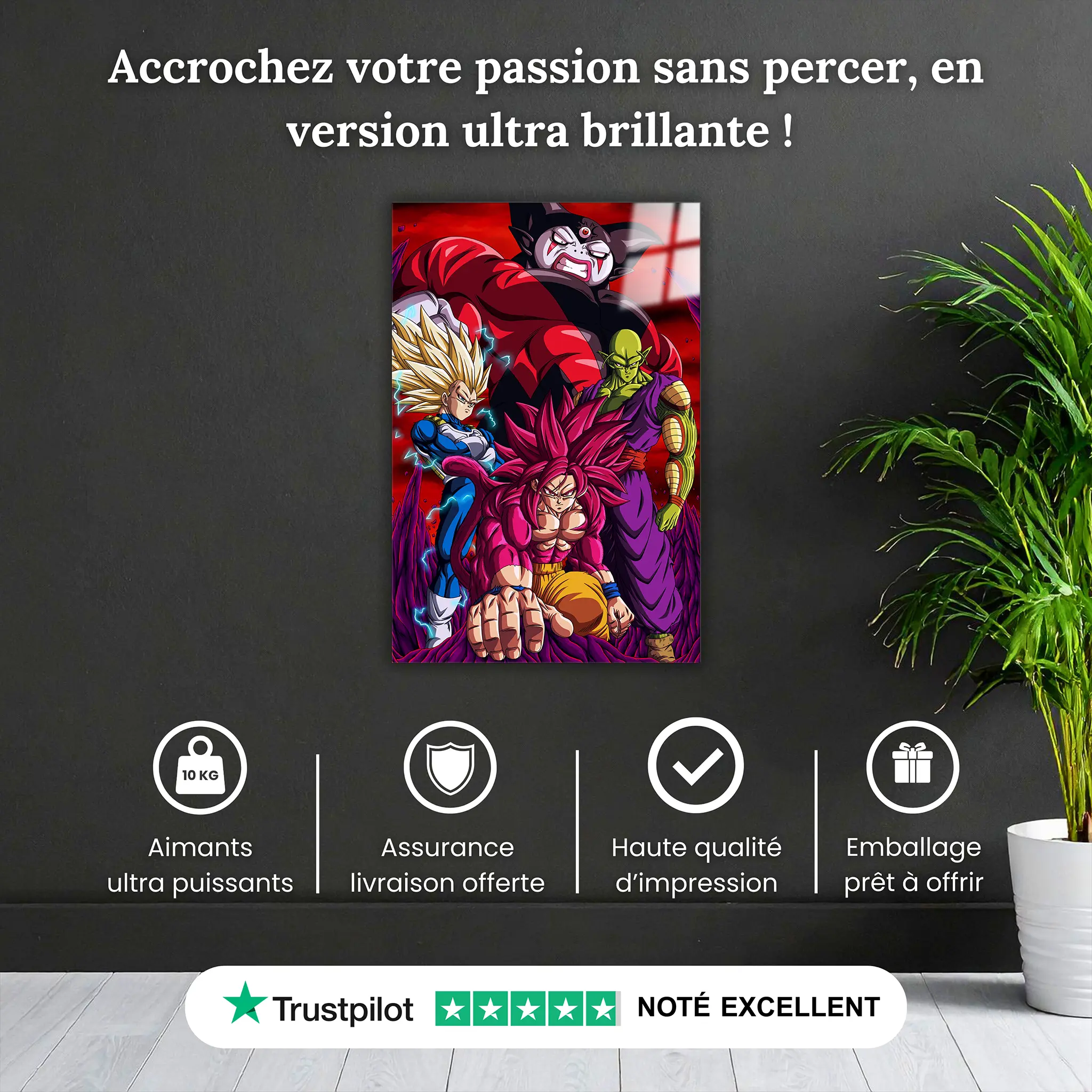 tableau-dbz-team-daima-vs-gomah-pourquoi-acheter | DreamWay