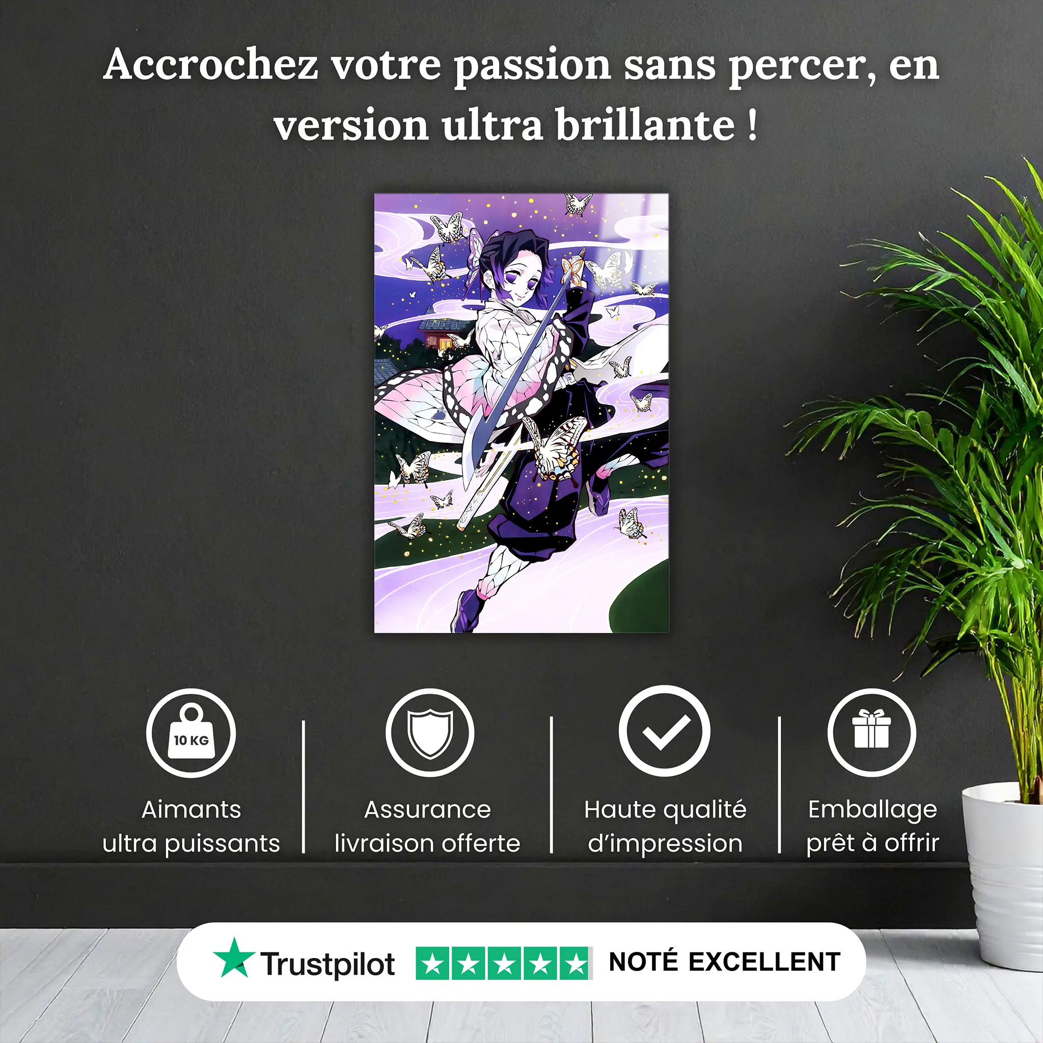 tableau-demon-slayer-shinobu-pourquoi-acheter | DreamWay