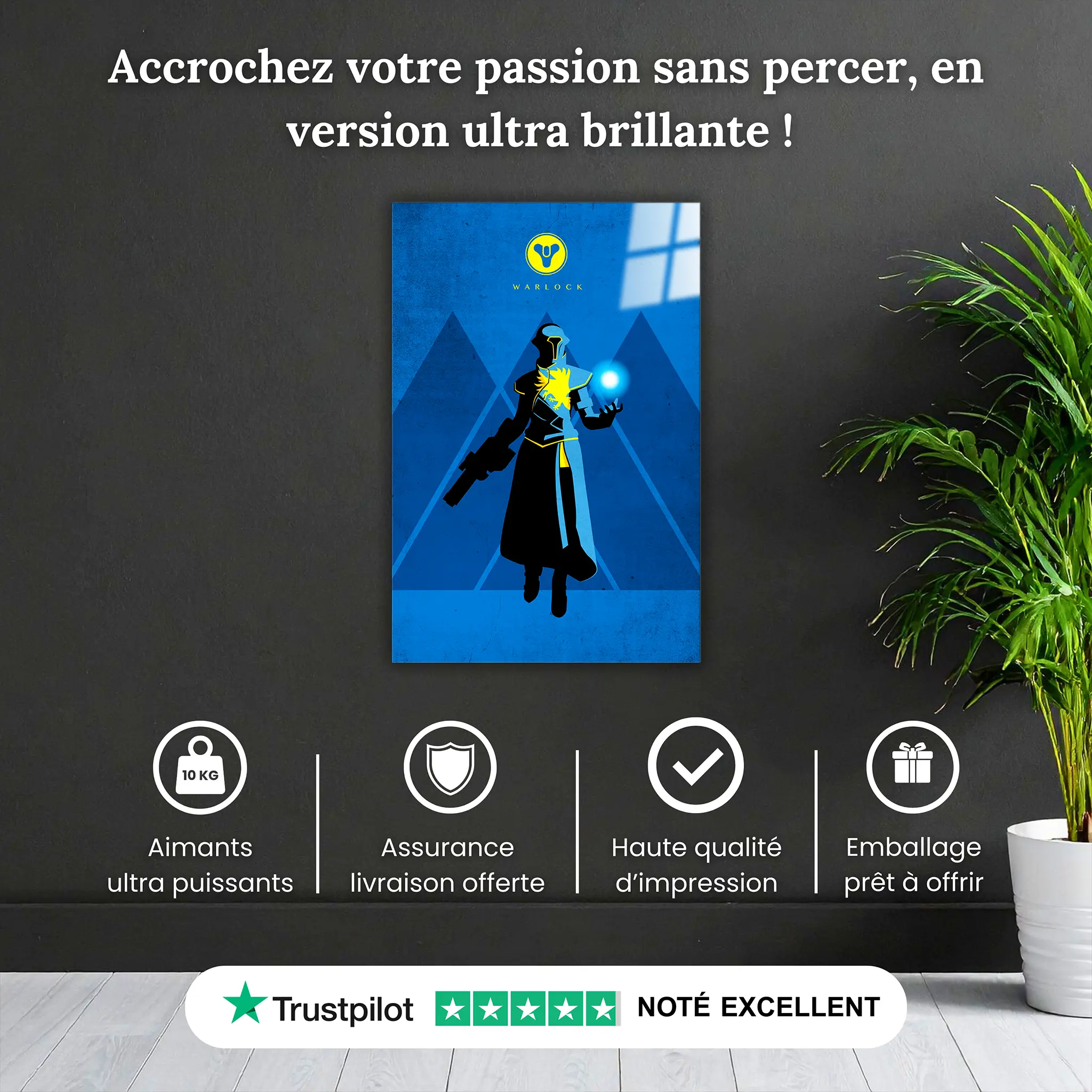 tableau-destiny-warlock-pourquoi-acheter | DreamWay