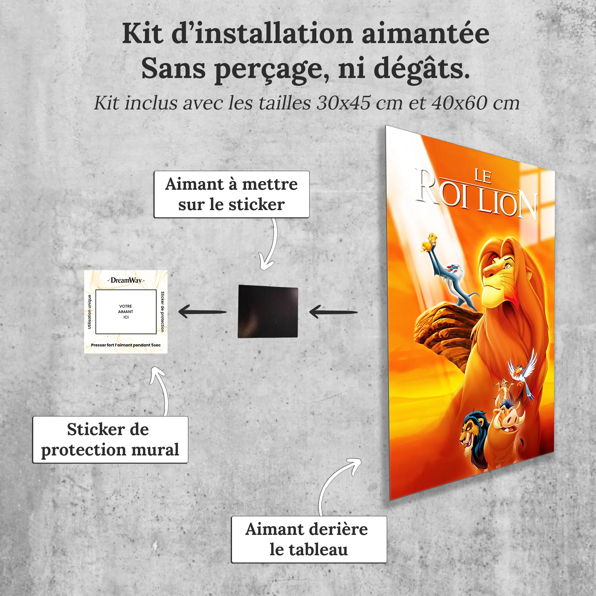tableau-disney-affiche-roi-lion-avec-installation-aimantee | DreamWay