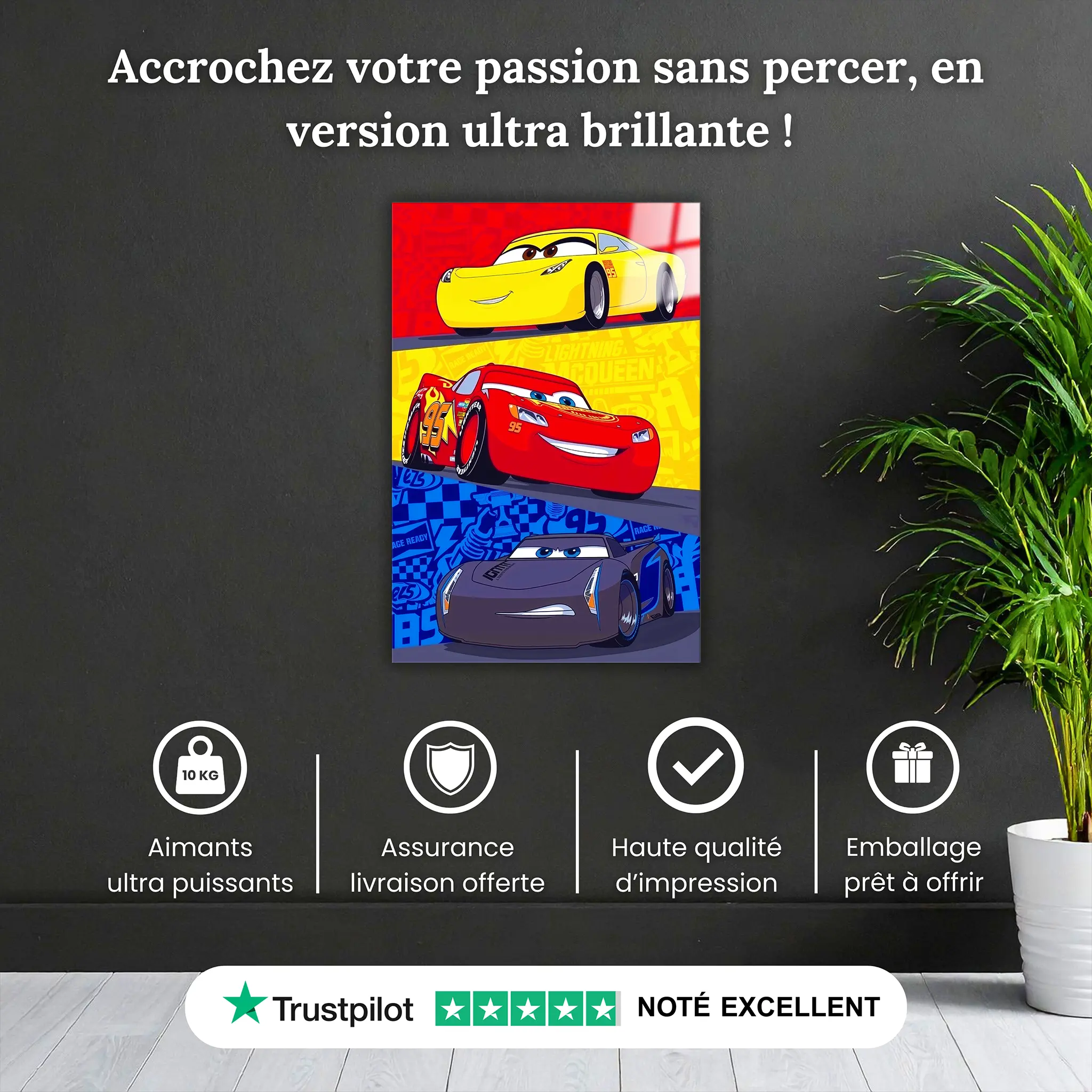tableau-disney-flash-mcqueen-adversaire-pourquoi-acheter | DreamWay