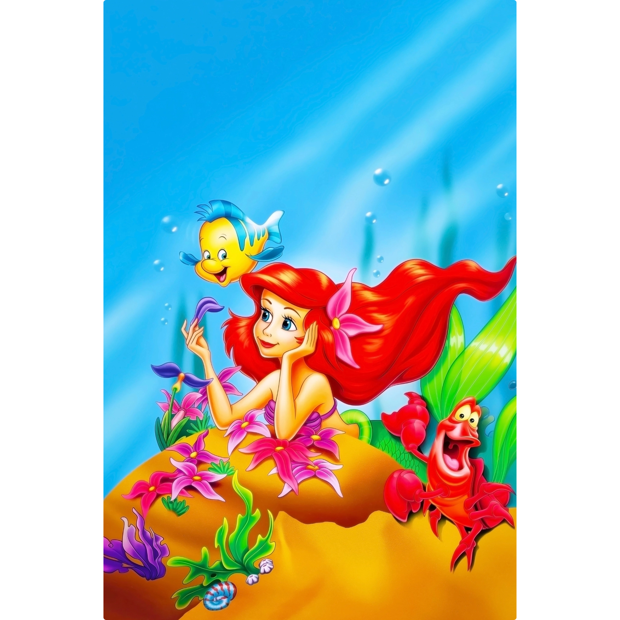 Tableau La Petite Sirène Ariel Polochon Sebastien