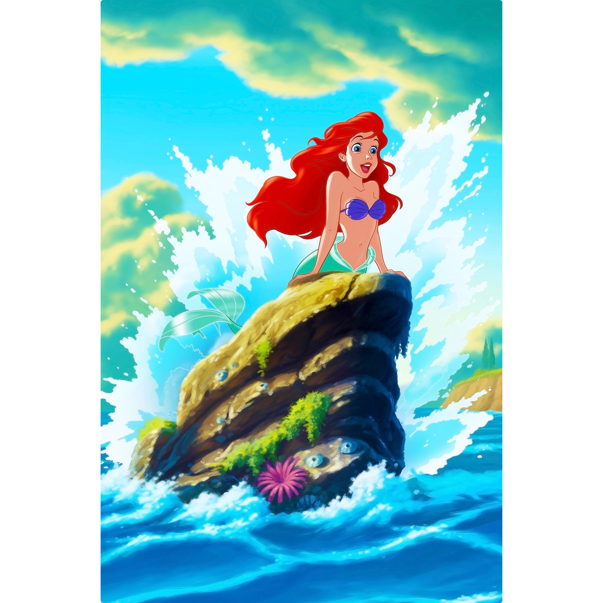 Tableau La Petite Sirène Princesse Ariel Rocher