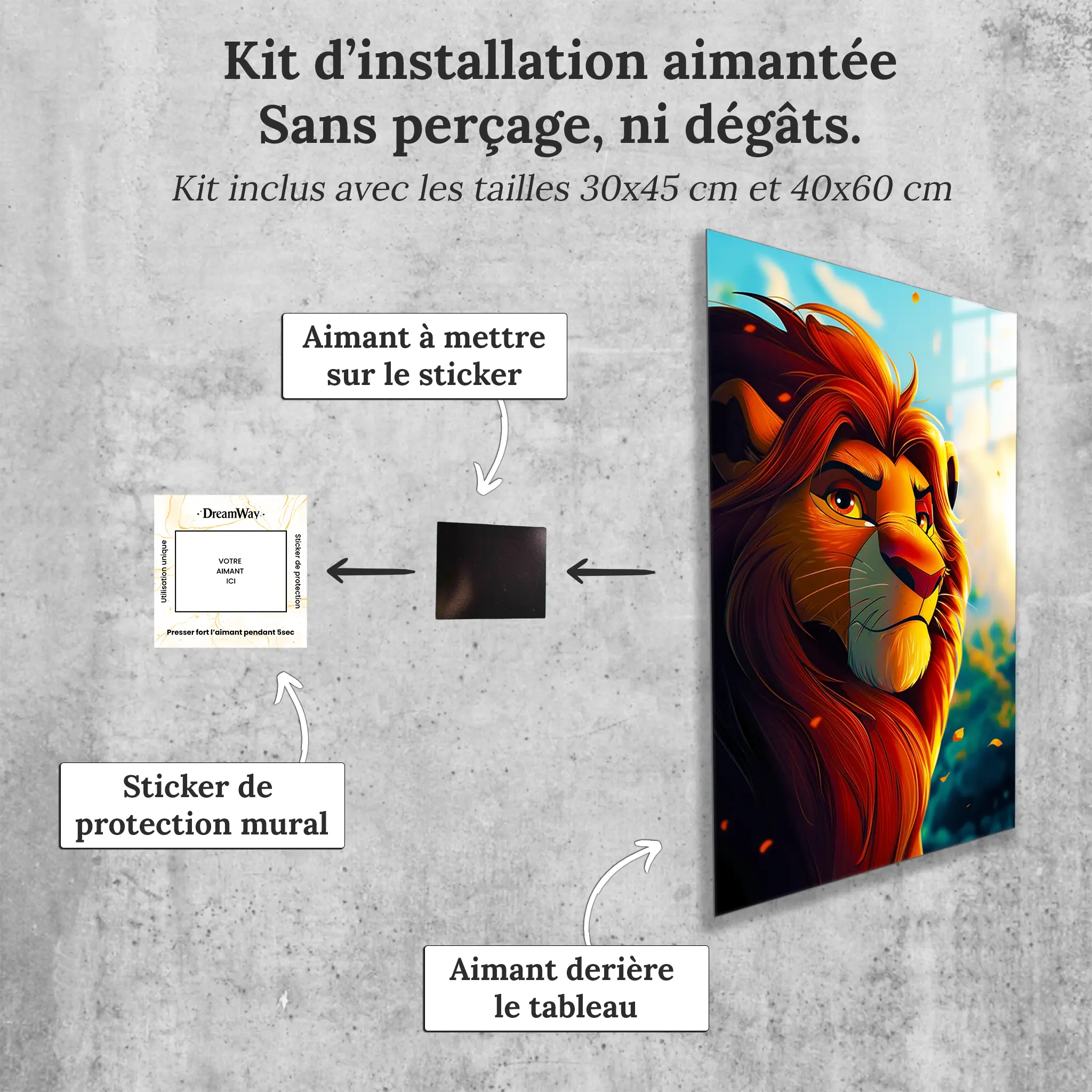 tableau-disney-roi-lion-mufasa-rayon-de-soleil-avec-installation-aimantee | DreamWay