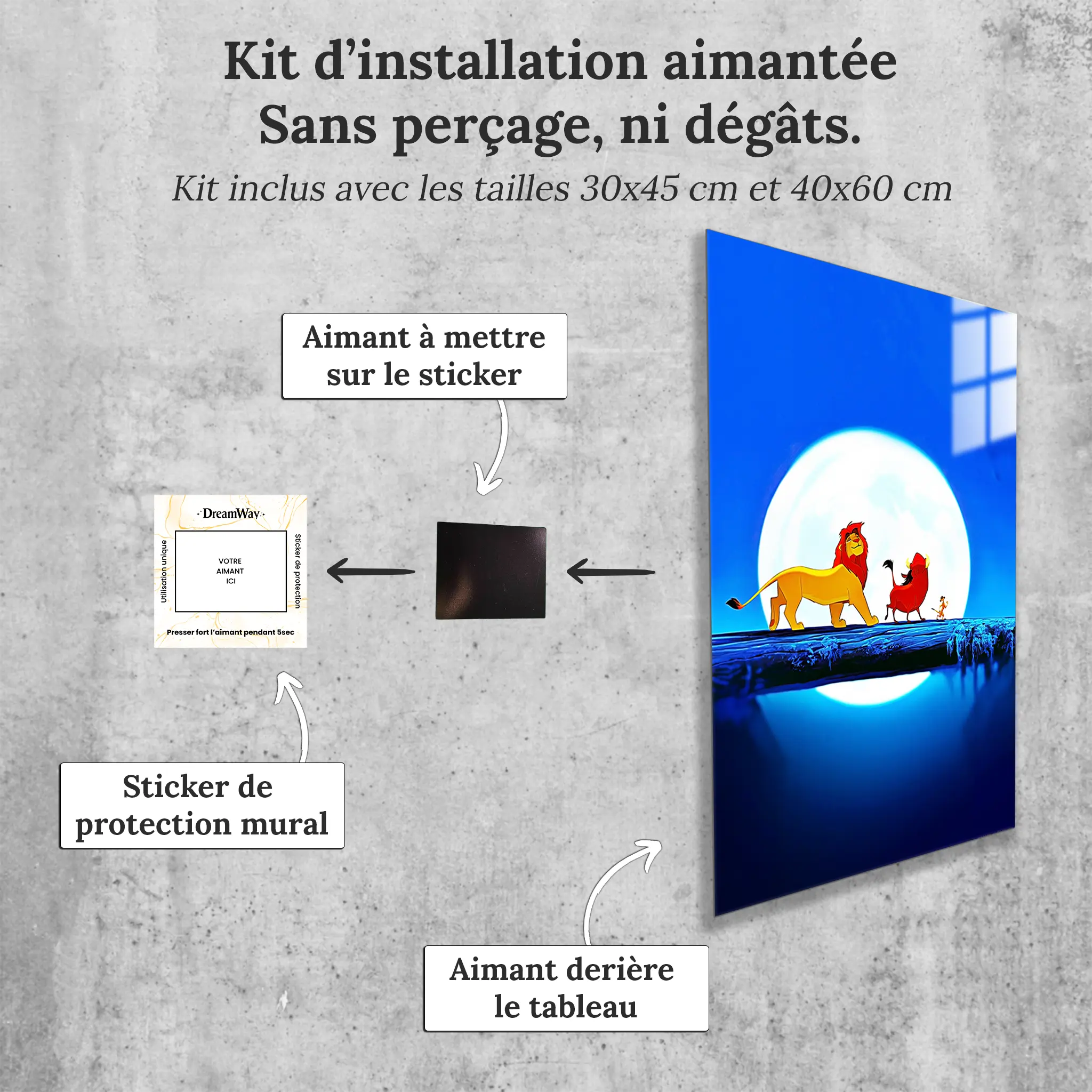 tableau-disney-roi-lion-simba-et-ses-amis-danse-avec-installation-aimantee | DreamWay