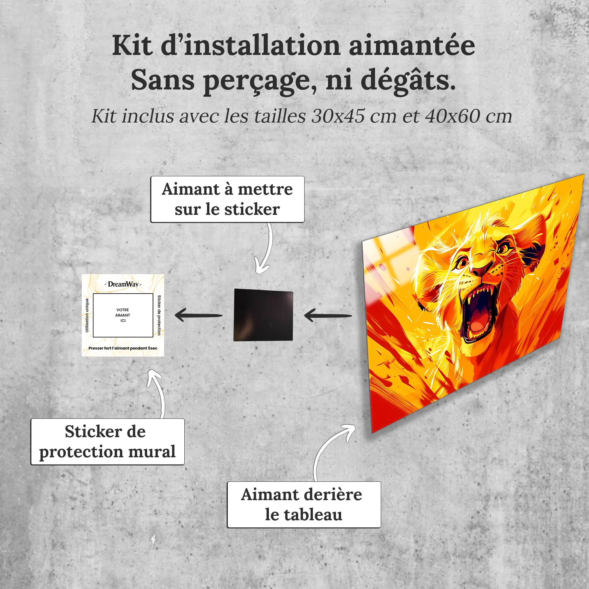 tableau-disney-roi-lion-simba-rugissementpng-avec-installation-aimantee | DreamWay