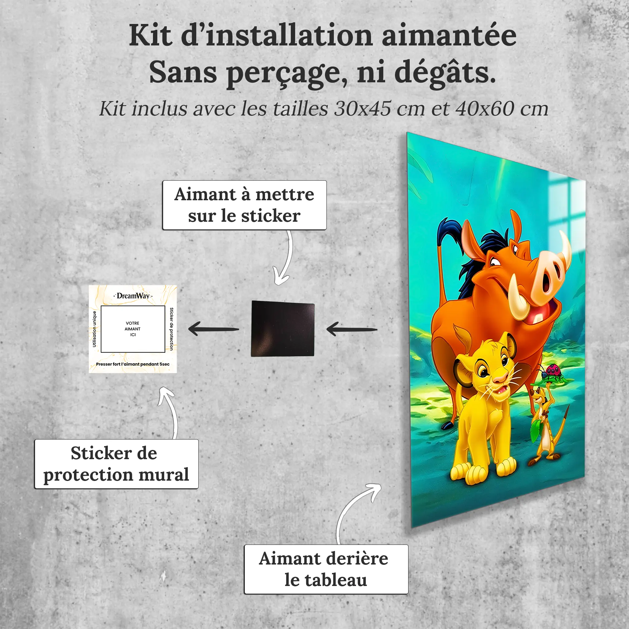 tableau-disney-roi-lion-trio-iconique-avec-installation-aimantee | DreamWay