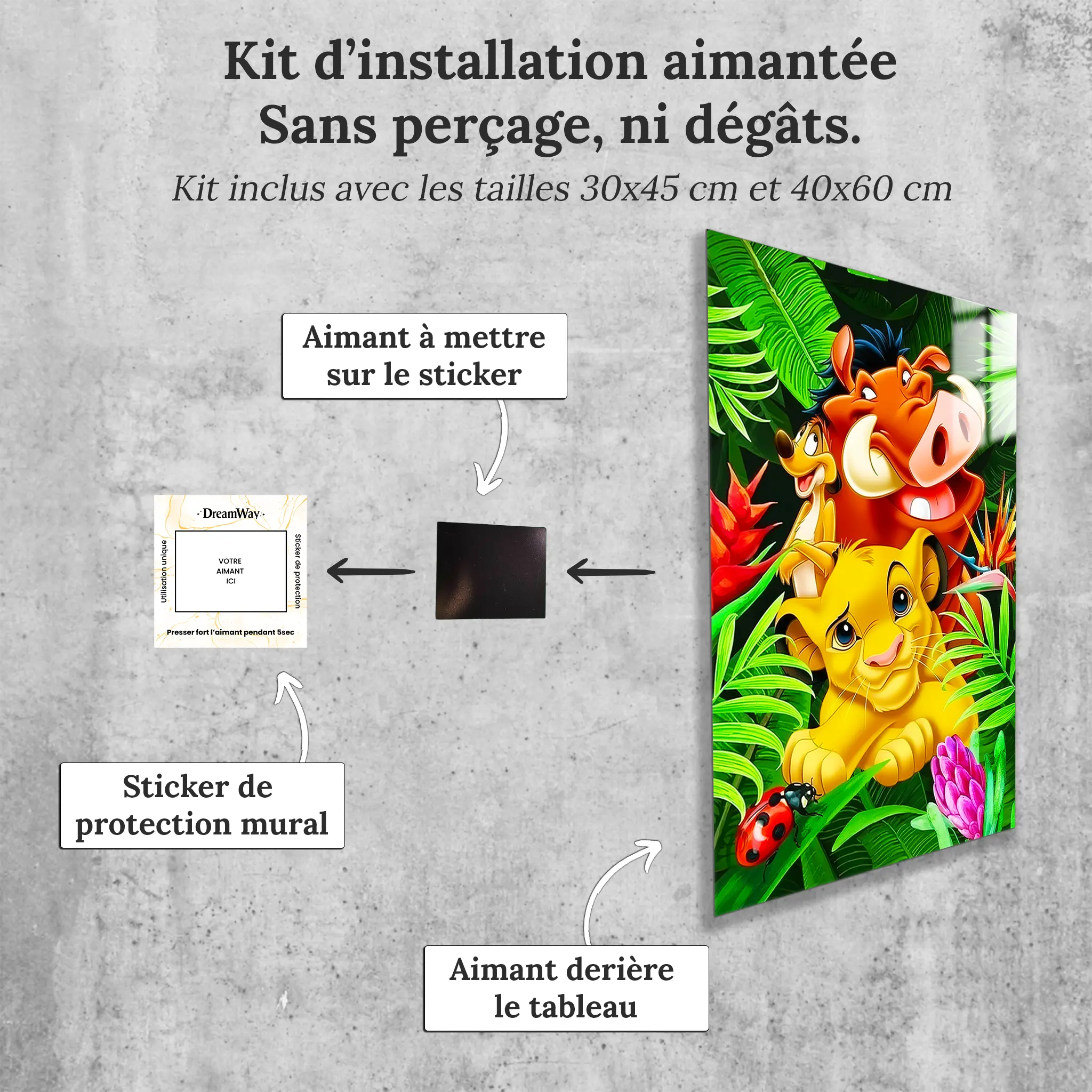 tableau-disney-simba-pumba-timon-avec-installation-aimantee | DreamWay