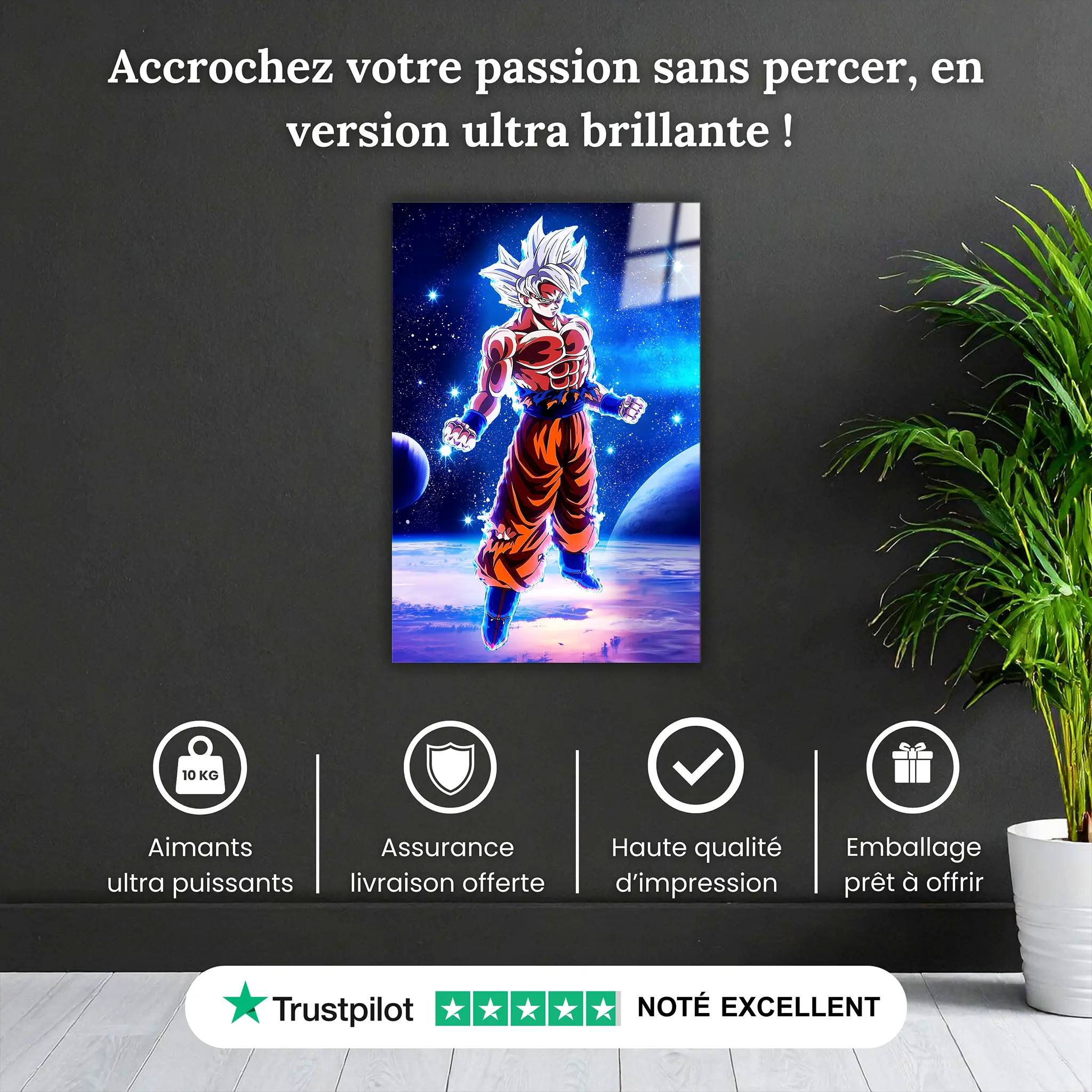 tableau-dragon-ball-goku-ultra-instinct-galaxie-pourquoi-acheter | DreamWay