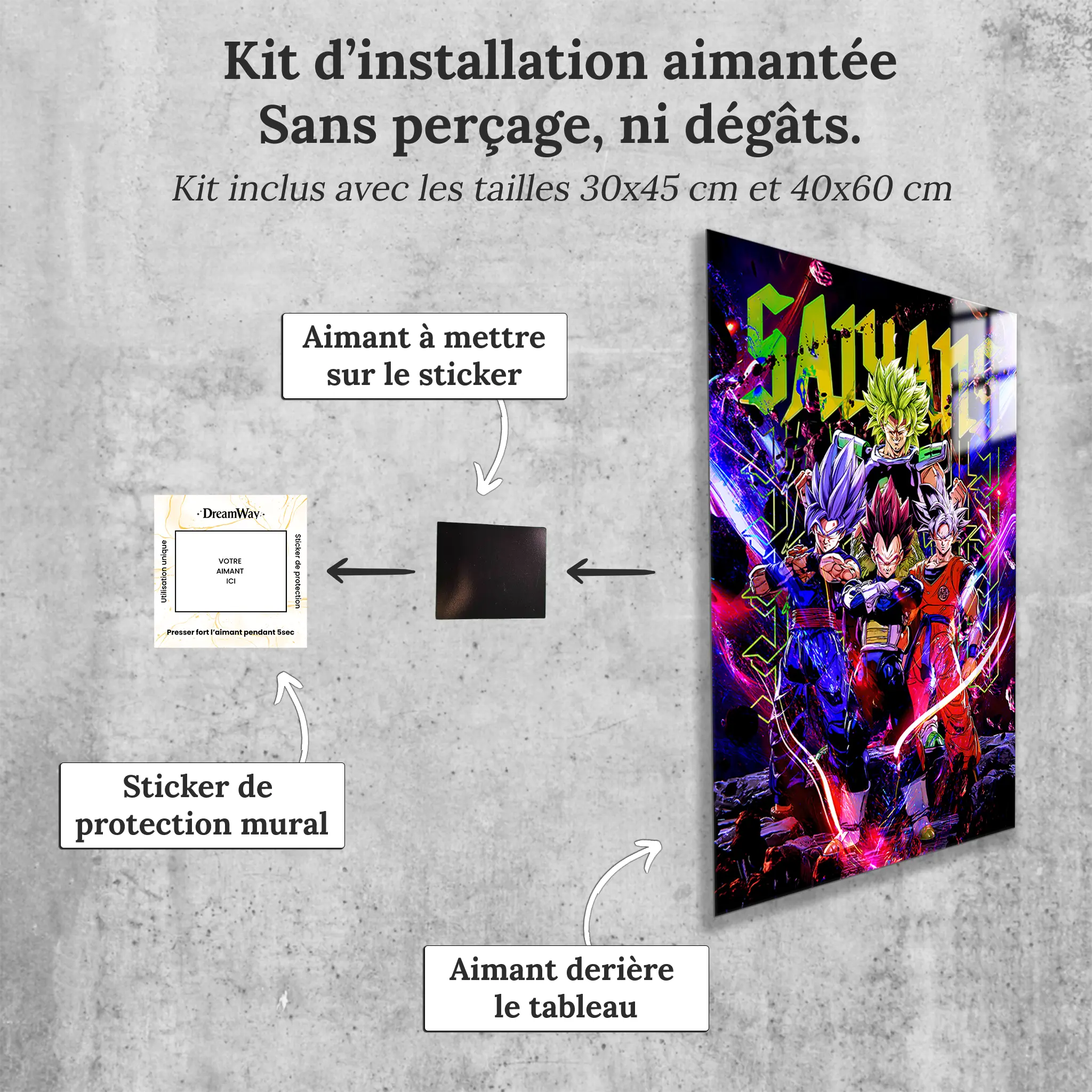 tableau-dragon-ball-les-heros-avec-installation-aimantee | DreamWay