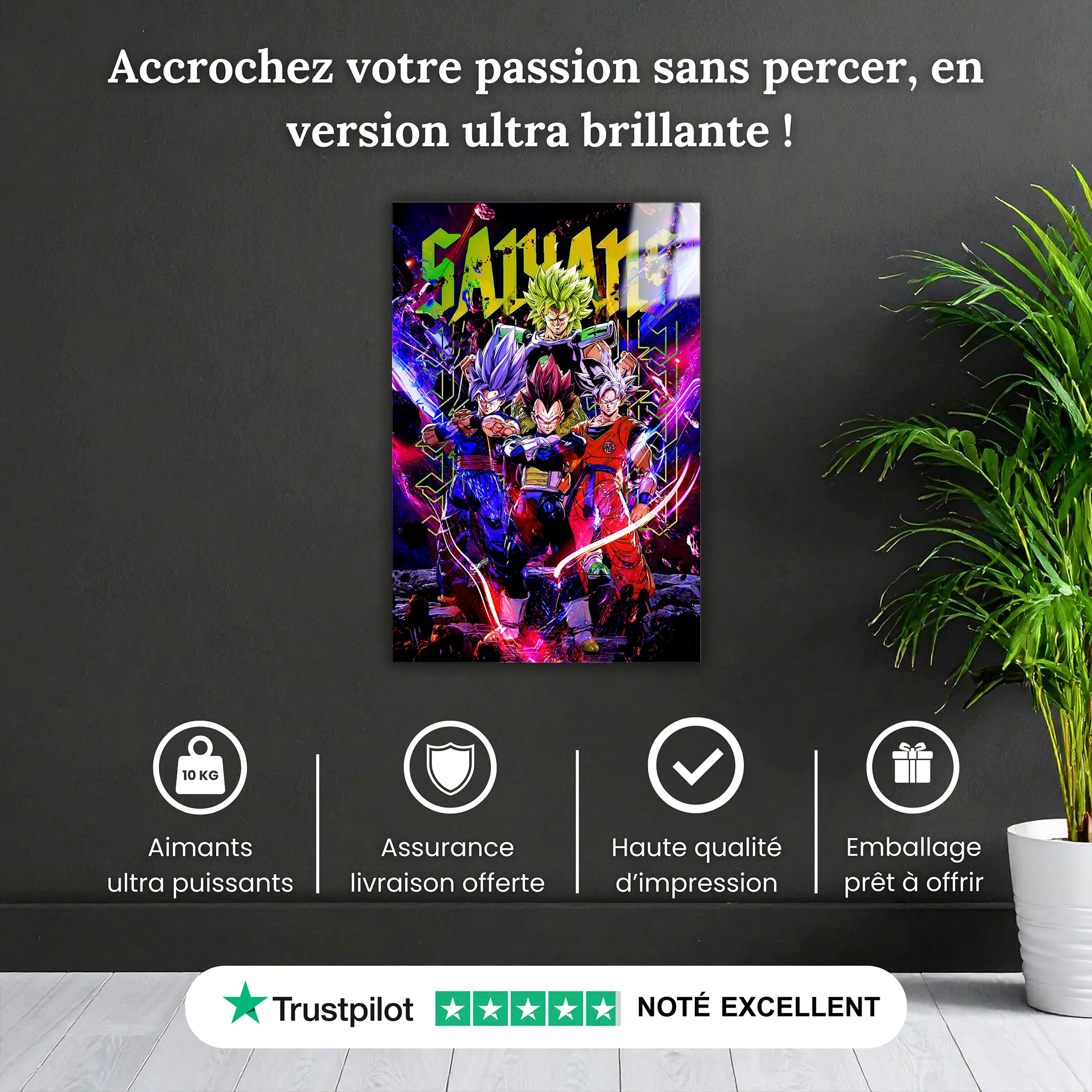 tableau-dragon-ball-les-heros-pourquoi-acheter | DreamWay