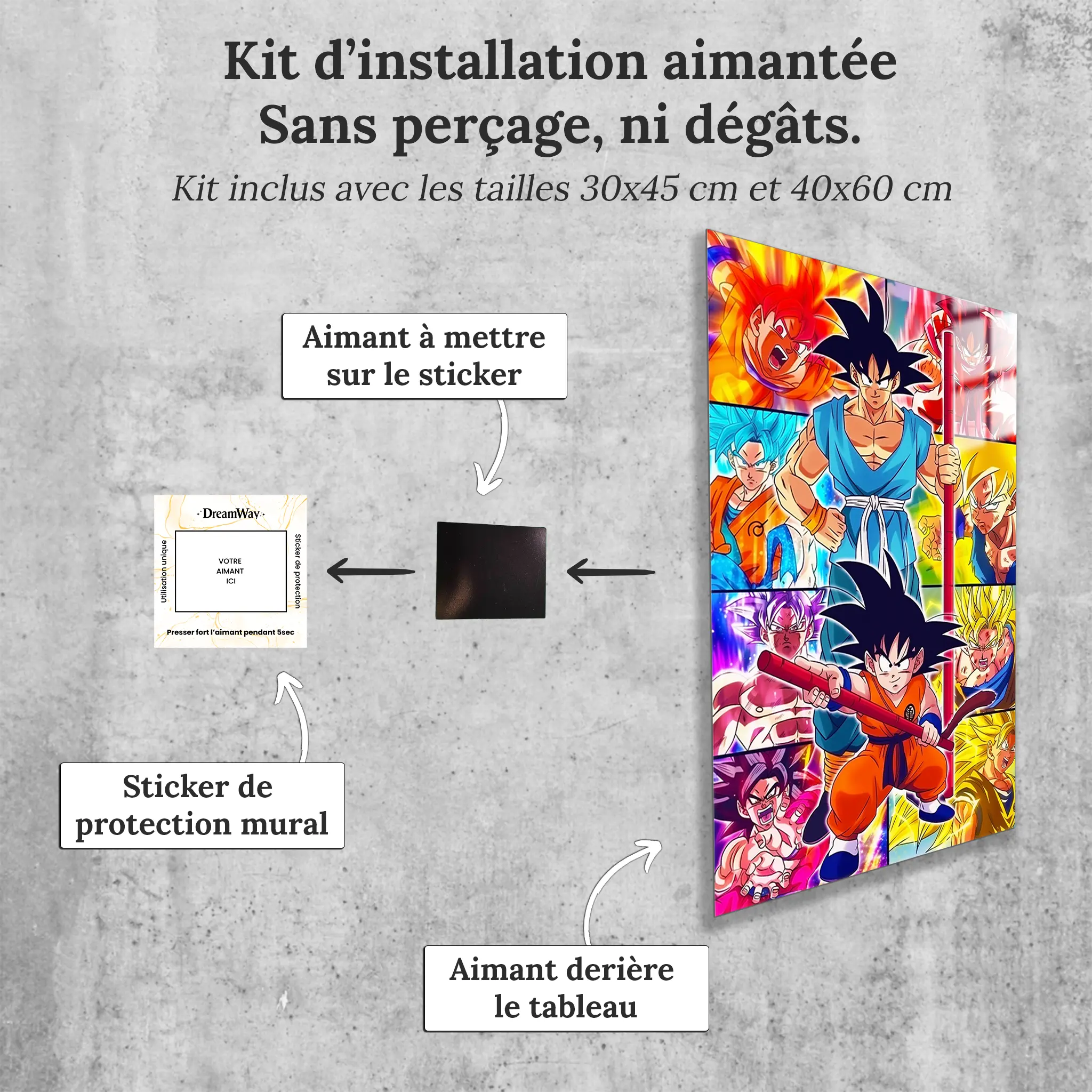 tableau-dragon-ball-z-apprentissage-avec-installation-aimantee | DreamWay