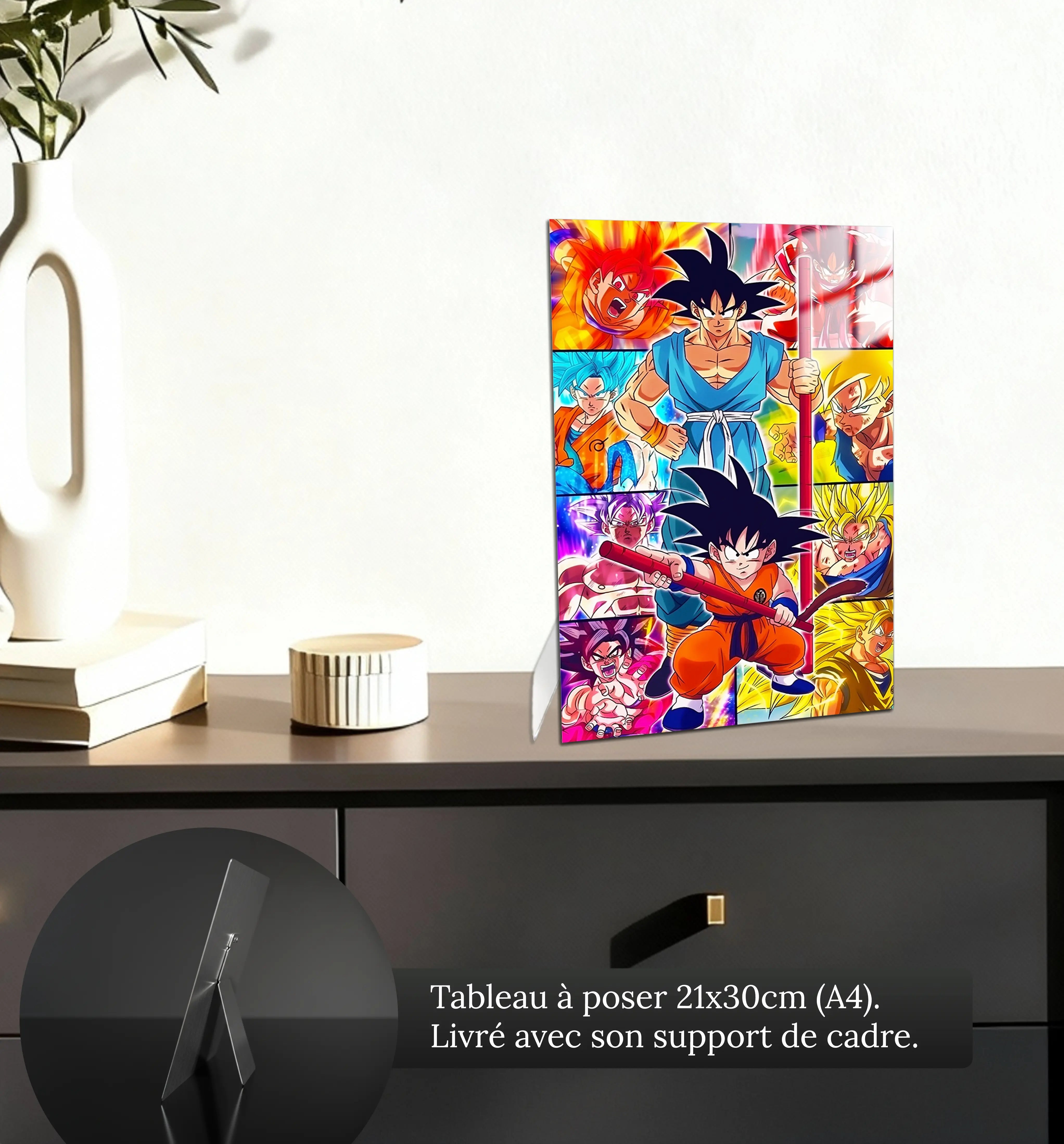 tableau-dragon-ball-z-apprentissage-petit-format-a-poser-sur-meuble | DreamWay