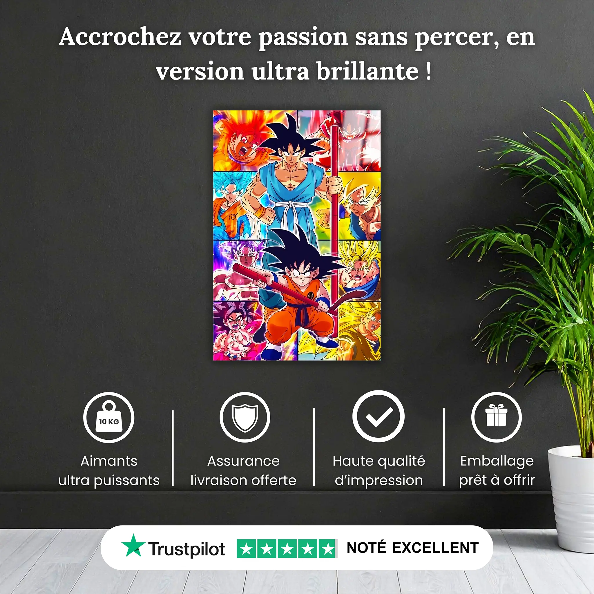 tableau-dragon-ball-z-apprentissage-pourquoi-acheter | DreamWay