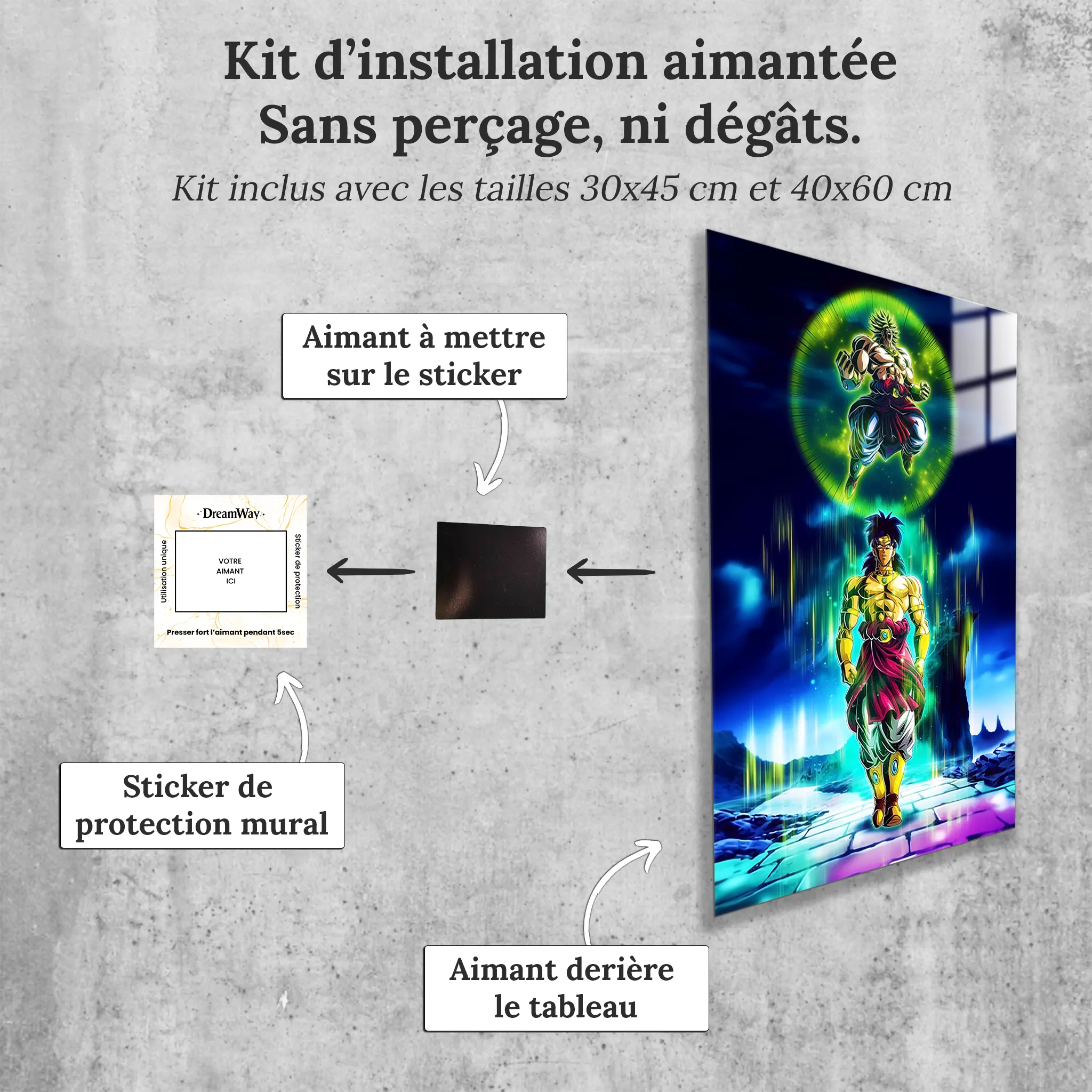 tableau-dragon-ball-z-broly-transformation-avec-installation-aimantee | DreamWay
