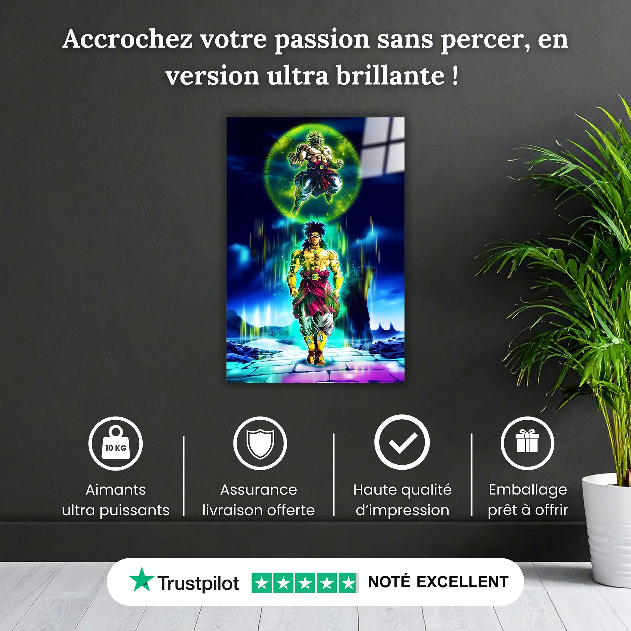 tableau-dragon-ball-z-broly-transformation-pourquoi-acheter | DreamWay