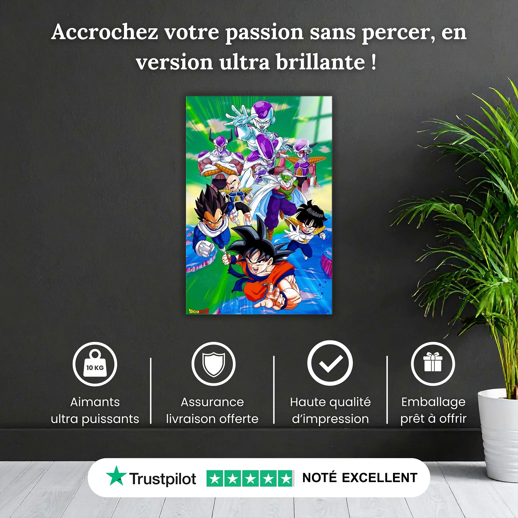 tableau-dragon-ball-z-dans-les-cieux-pourquoi-acheter | DreamWay