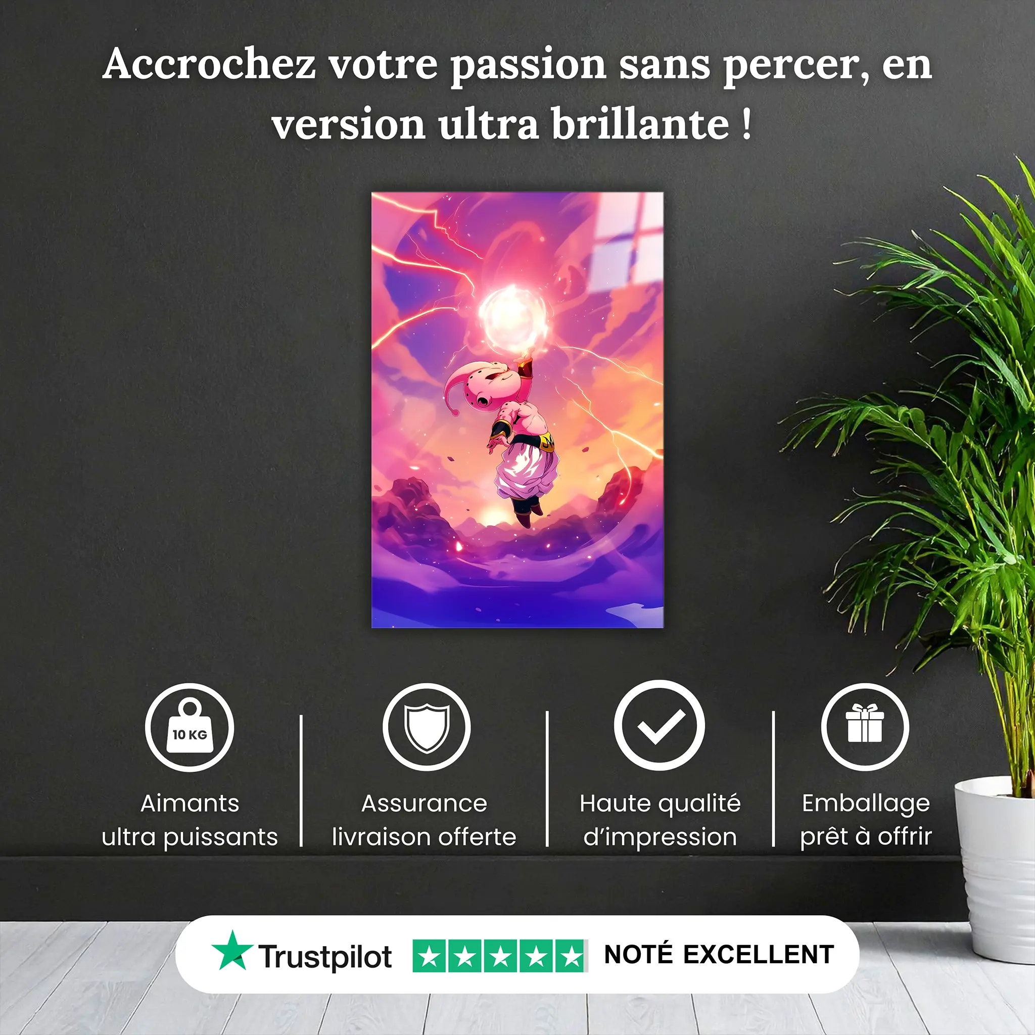 tableau-dragon-ball-z-enfant-boo-pourquoi-acheter | DreamWay