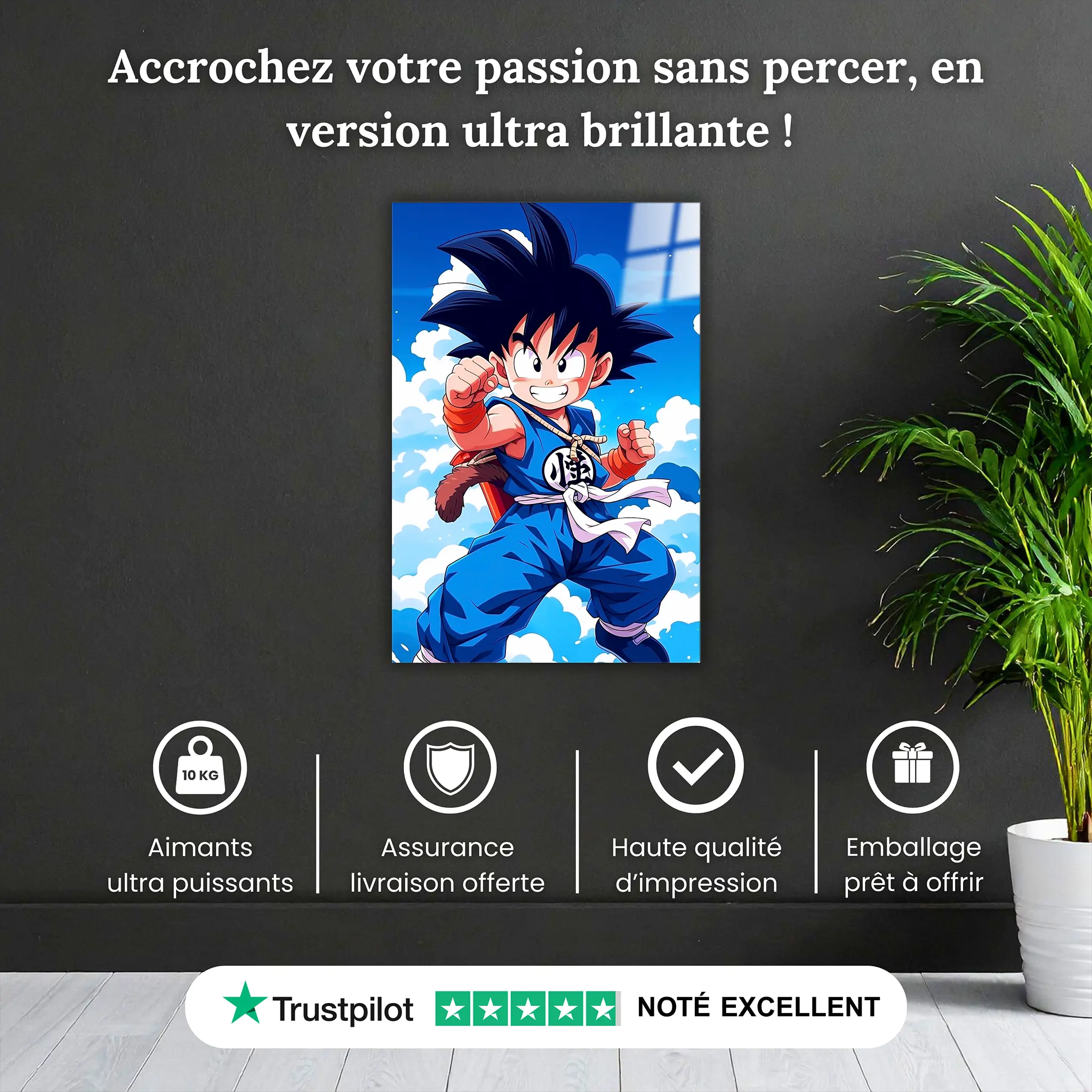 tableau-dragon-ball-z-goku-enfant-dans-les-airs-pourquoi-acheter | DreamWay
