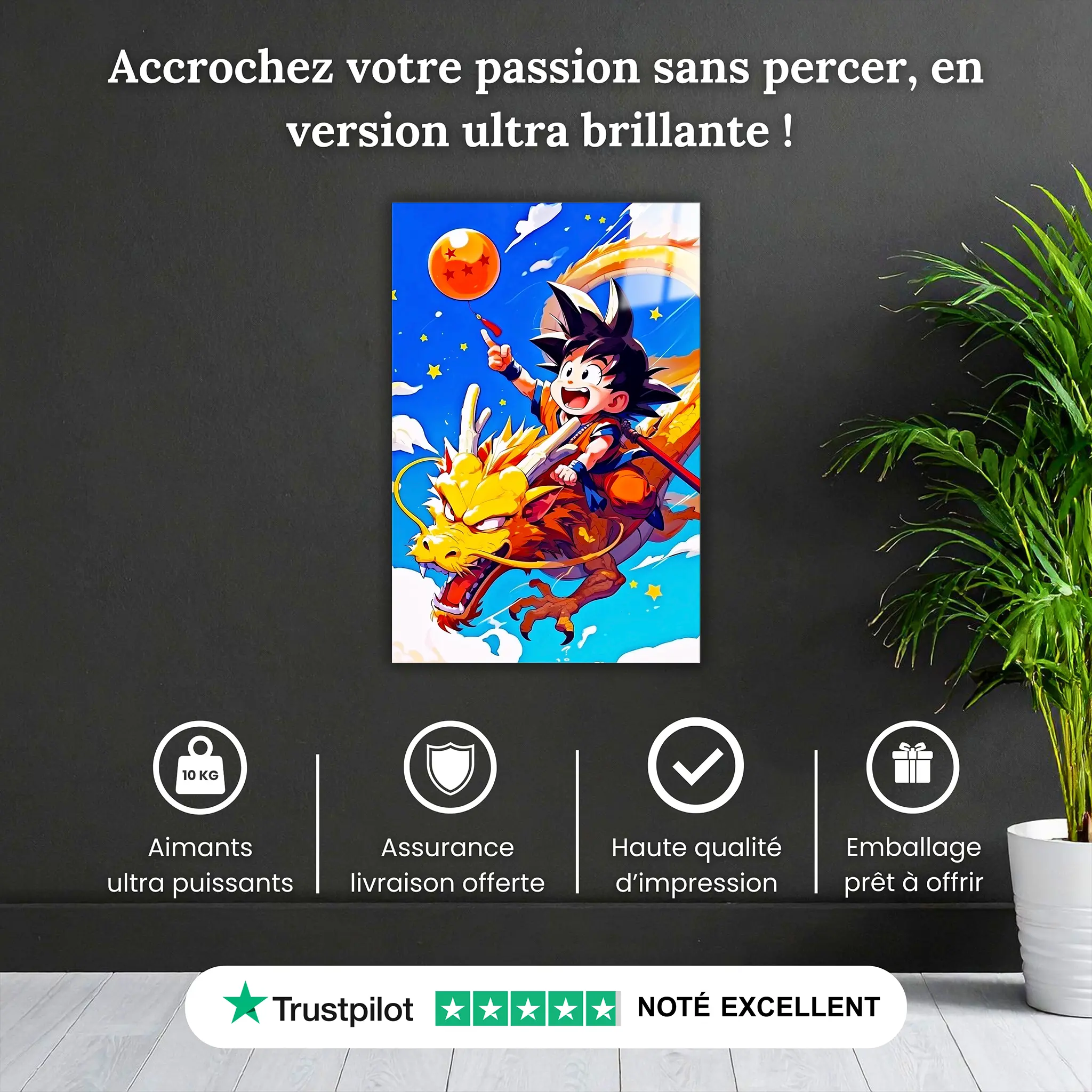 tableau-dragon-ball-z-goku-enfant-dragon-pourquoi-acheter | DreamWay