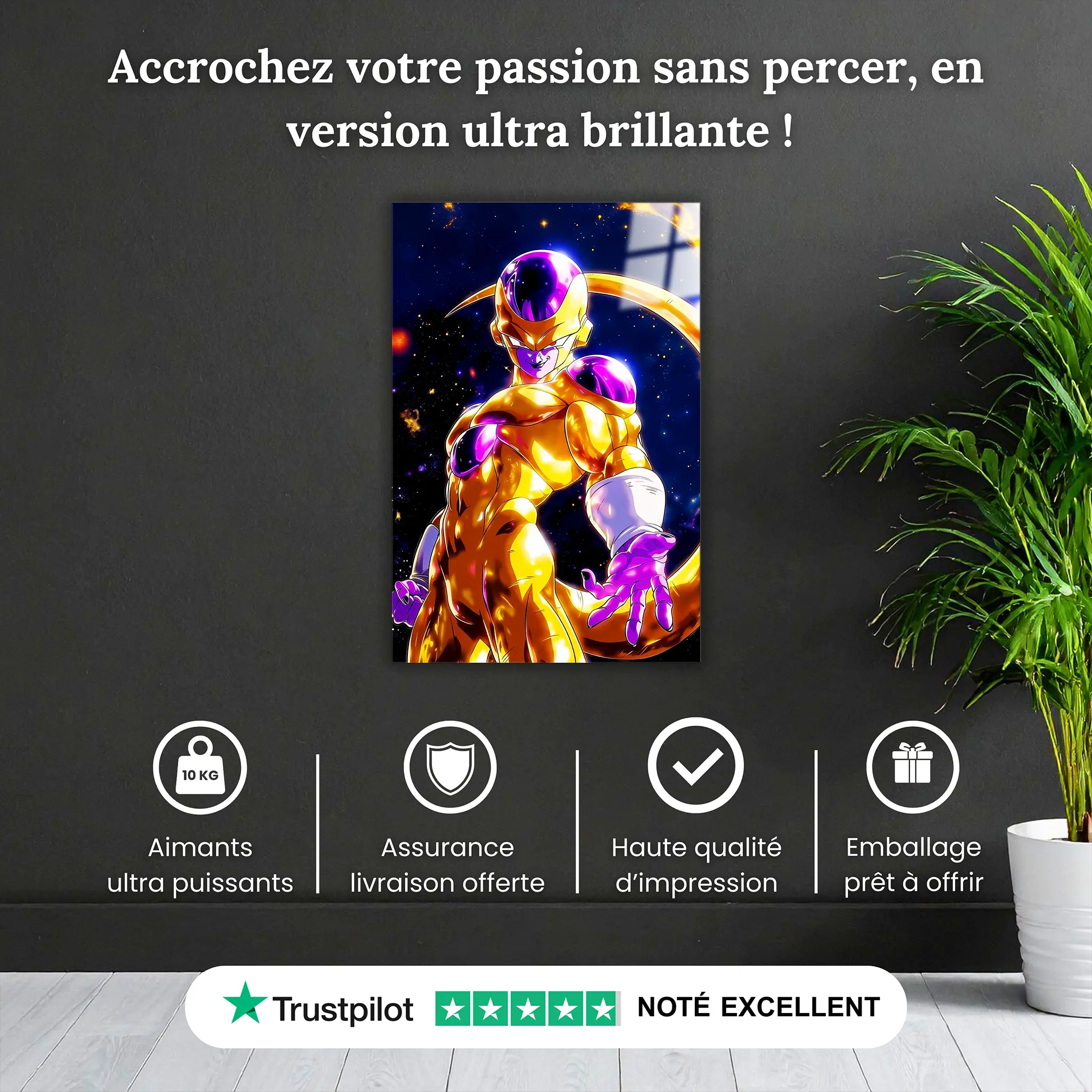 tableau-dragon-ball-z-gold-freezer-pourquoi-acheter | DreamWay