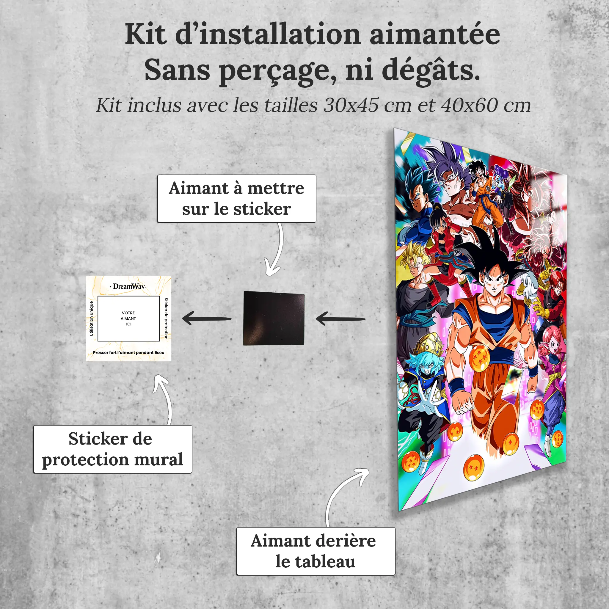 tableau-dragon-ball-z-heros-emblematiques-avec-installation-aimantee | DreamWay