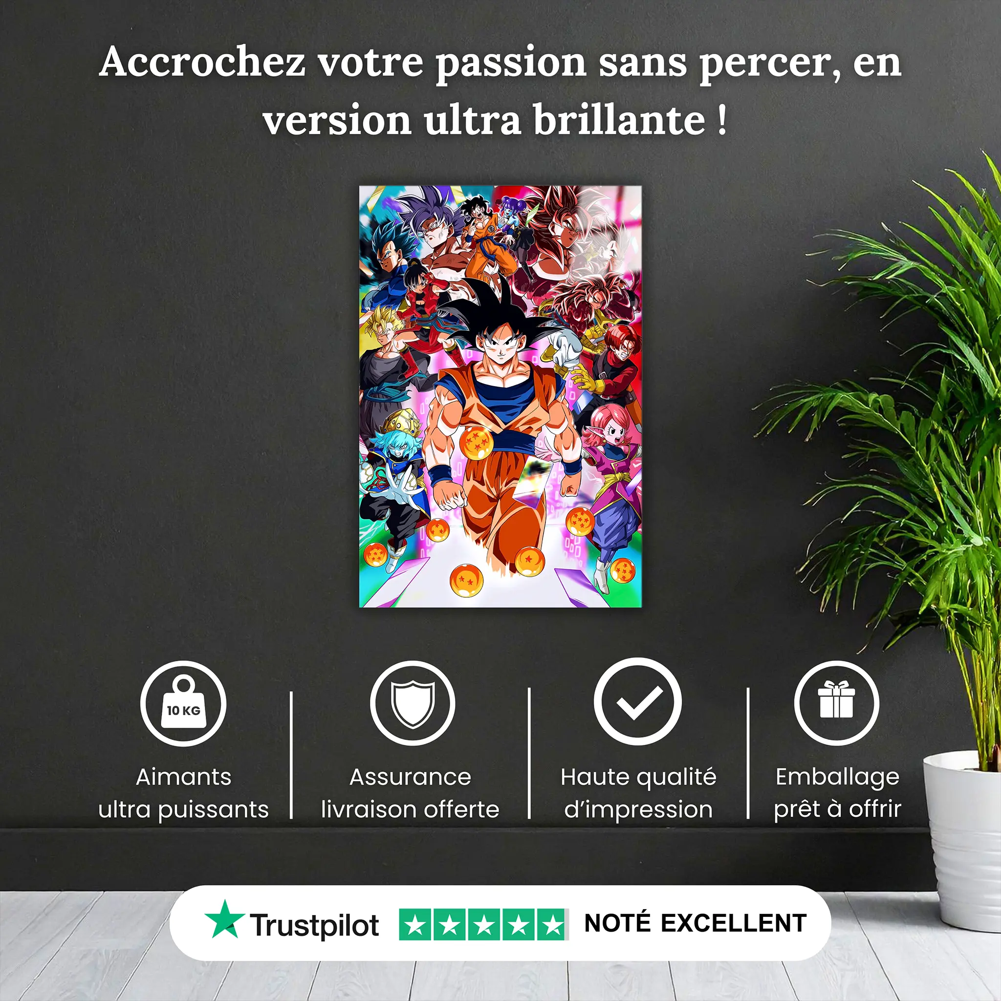 tableau-dragon-ball-z-heros-emblematiques-pourquoi-acheter | DreamWay