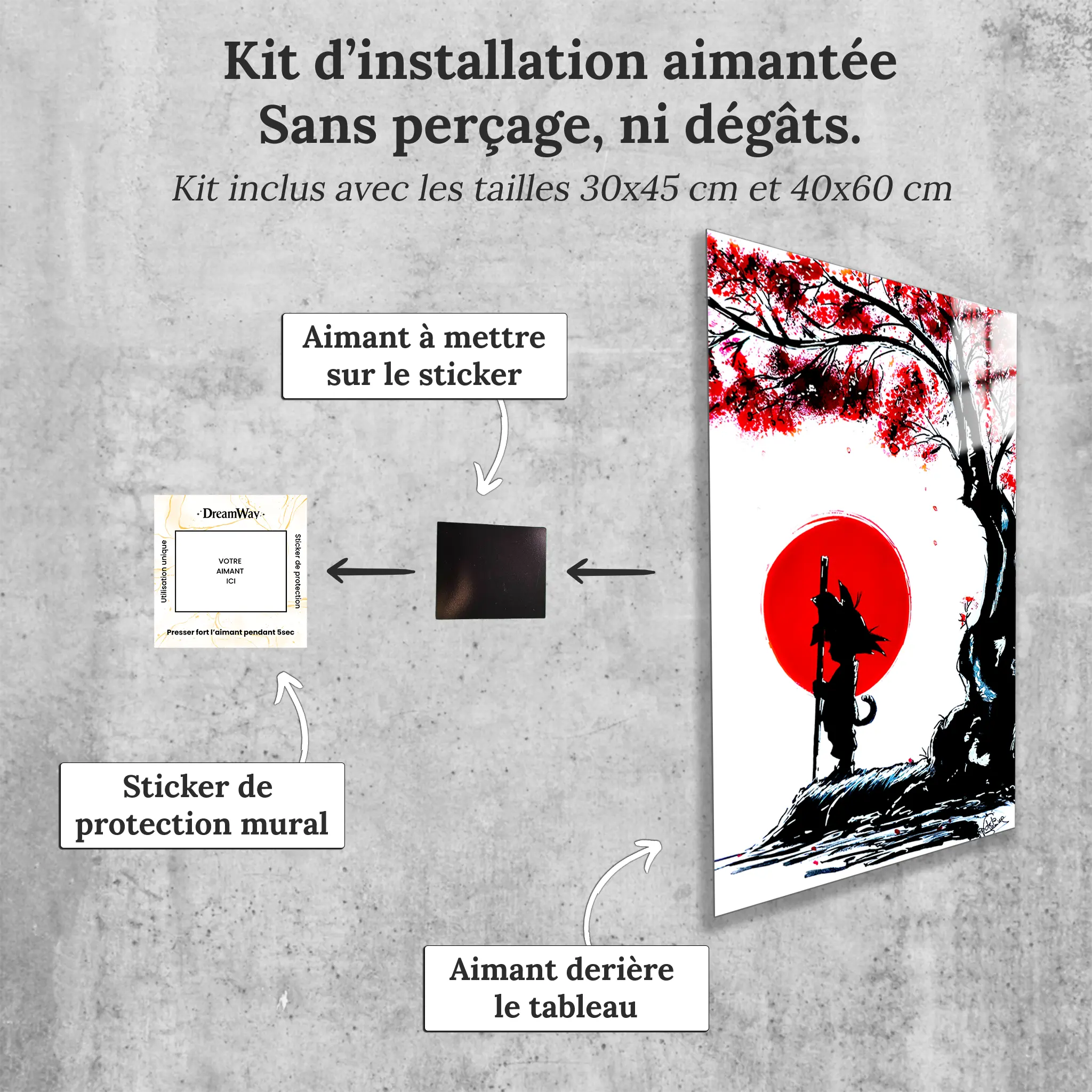 tableau-dragon-ball-z-japon-avec-installation-aimantee | DreamWay