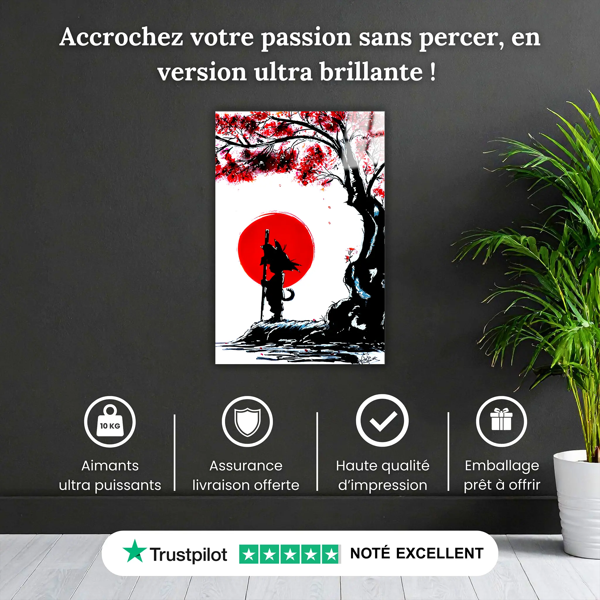 Tableau Dragon Ball Z Japon