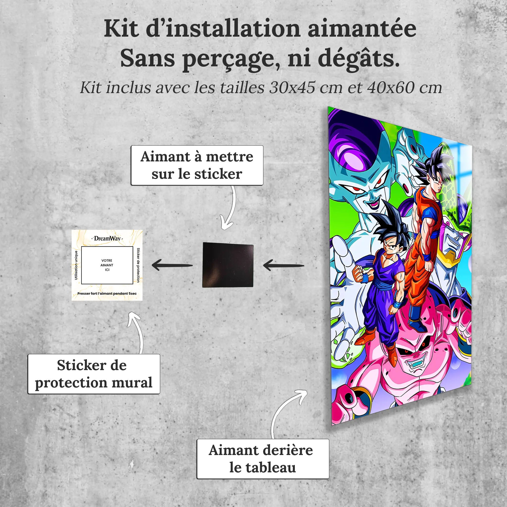 tableau-dragon-ball-z-les-heros-et-les-mechants-avec-installation-aimantee | DreamWay