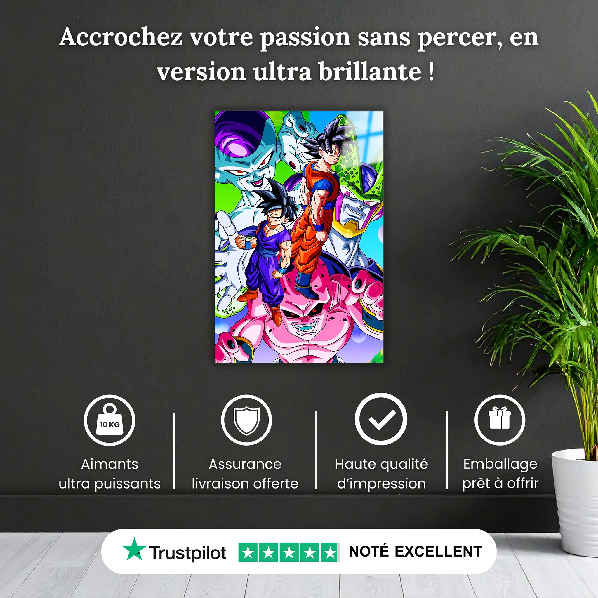 tableau-dragon-ball-z-les-heros-et-les-mechants-pourquoi-acheter | DreamWay