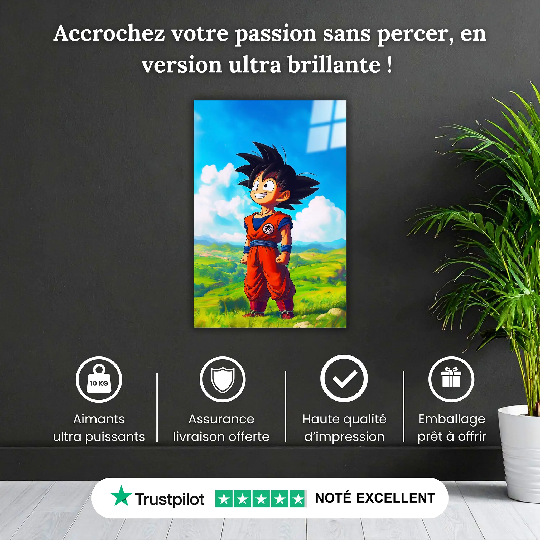 tableau-dragon-ball-z-paysage-goku-enfant-pourquoi-acheter | DreamWay