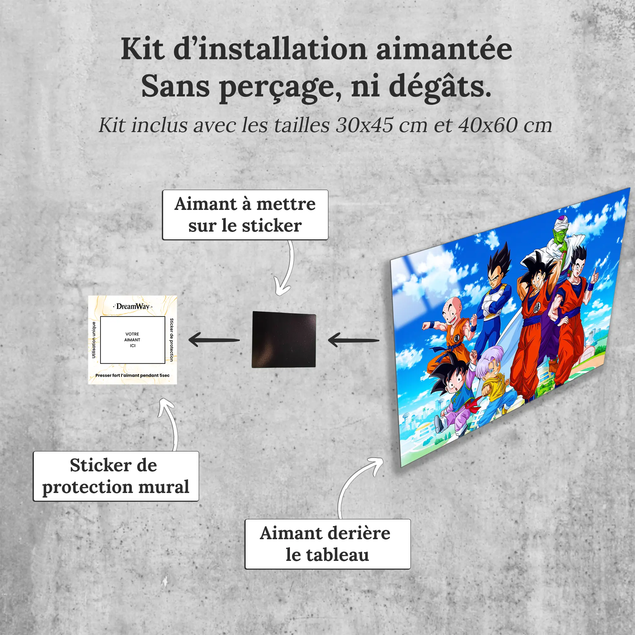 tableau-dragon-ball-z-paysage-heros-avec-installation-aimantee | DreamWay