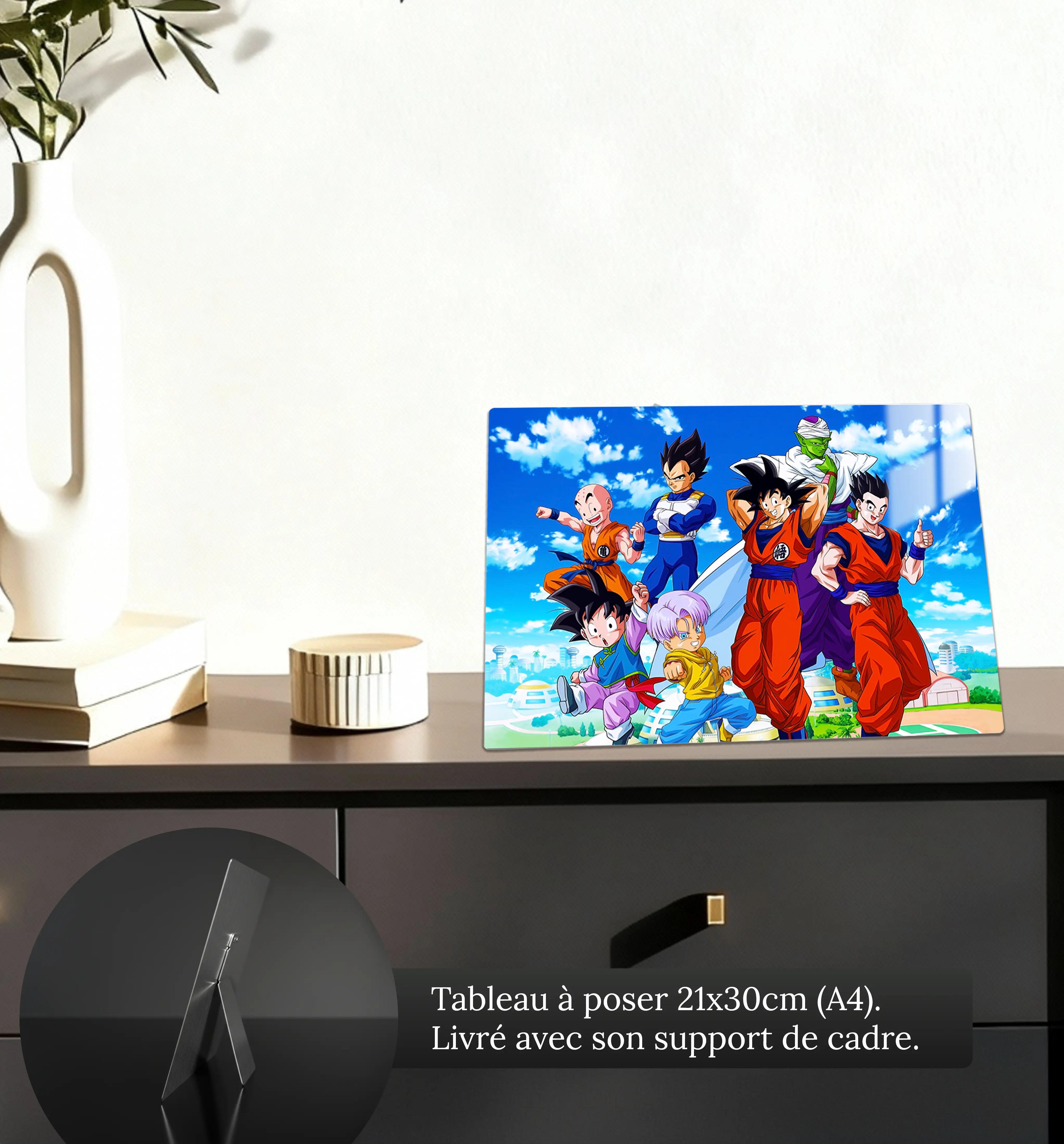 tableau-dragon-ball-z-paysage-heros-petit-format-a-poser-sur-meuble | DreamWay