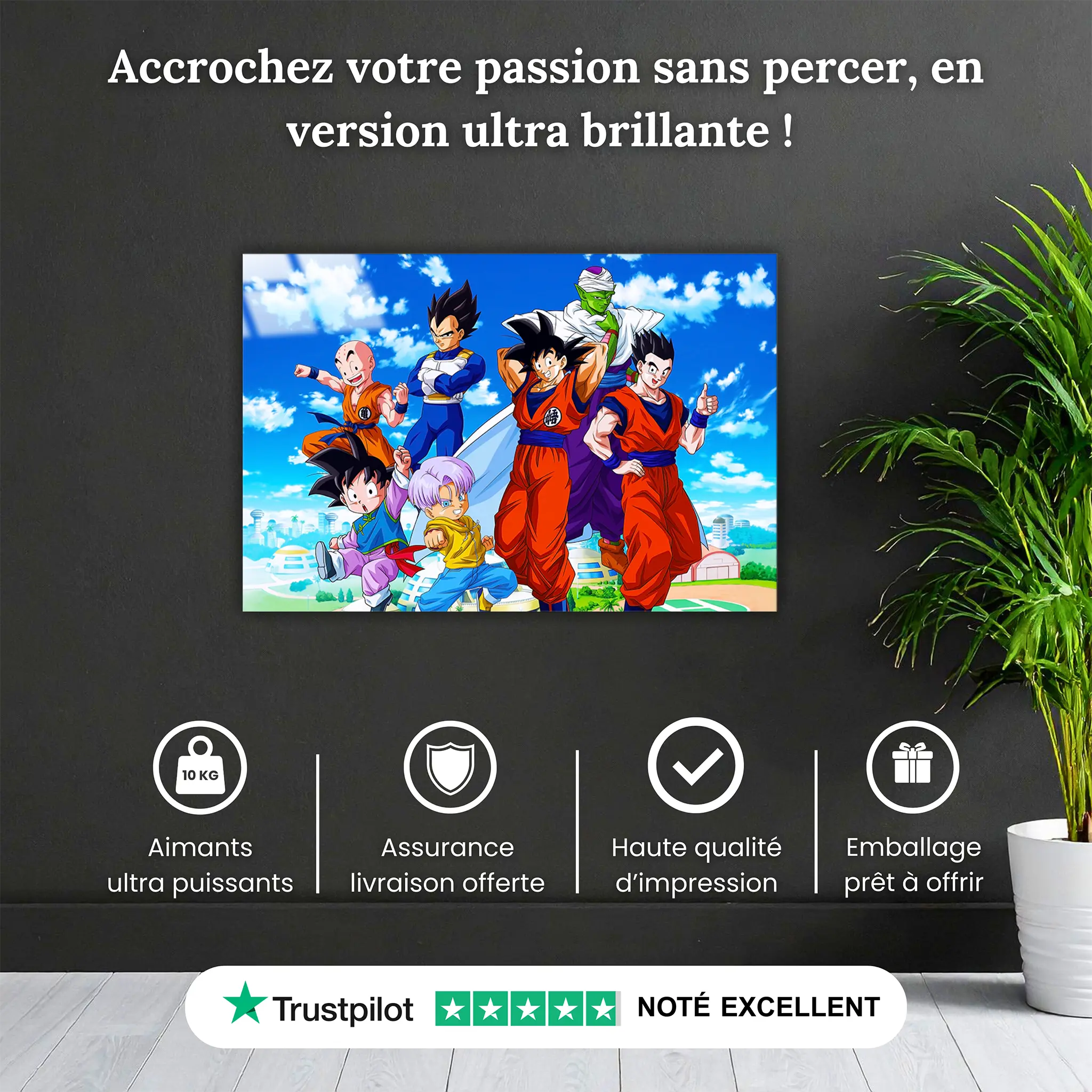 tableau-dragon-ball-z-paysage-heros-pourquoi-acheter | DreamWay
