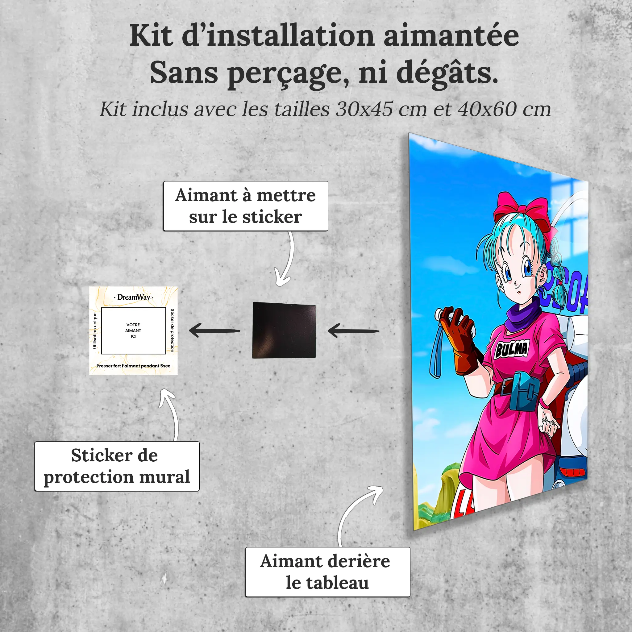 tableau-dragon-ball-z-portrait-bulma-avec-installation-aimantee | DreamWay
