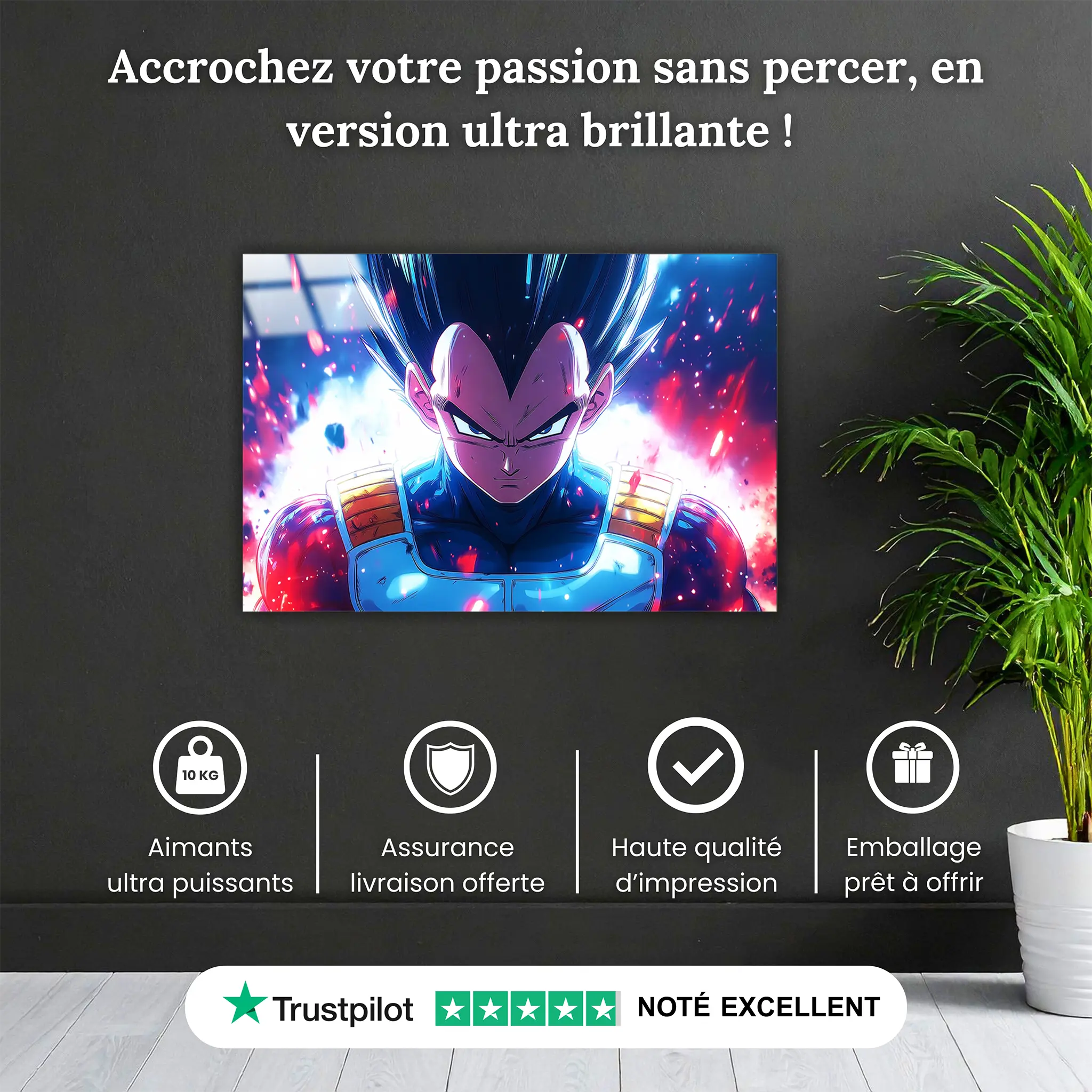 tableau-dragon-ball-z-portrait-vegeta-pourquoi-acheter | DreamWay